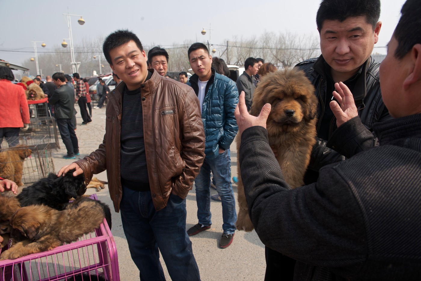 profimedia-0161799800