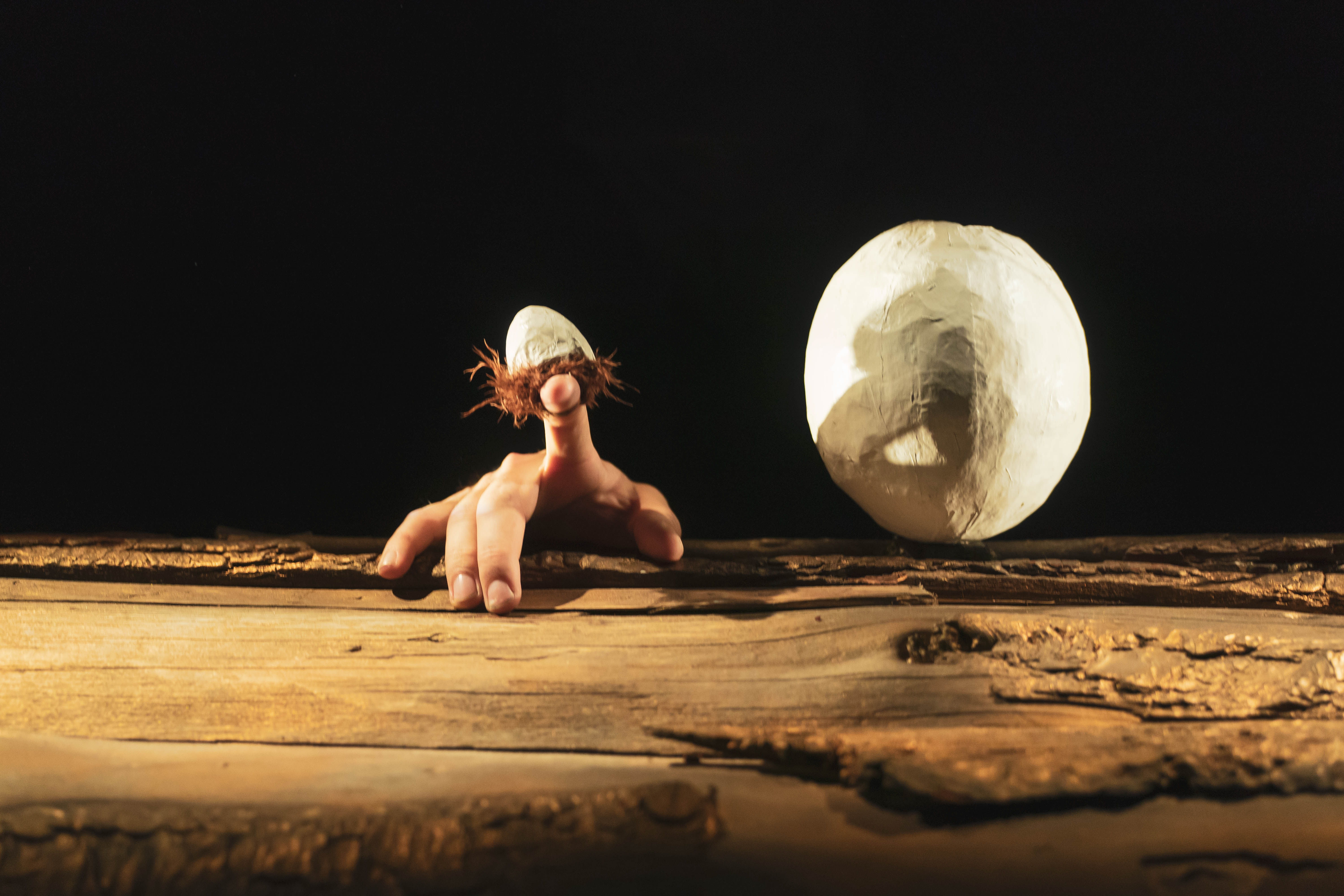 Ša Duazo FOTO Pjer Planšno.jpg, Novosadske pozorišne igre