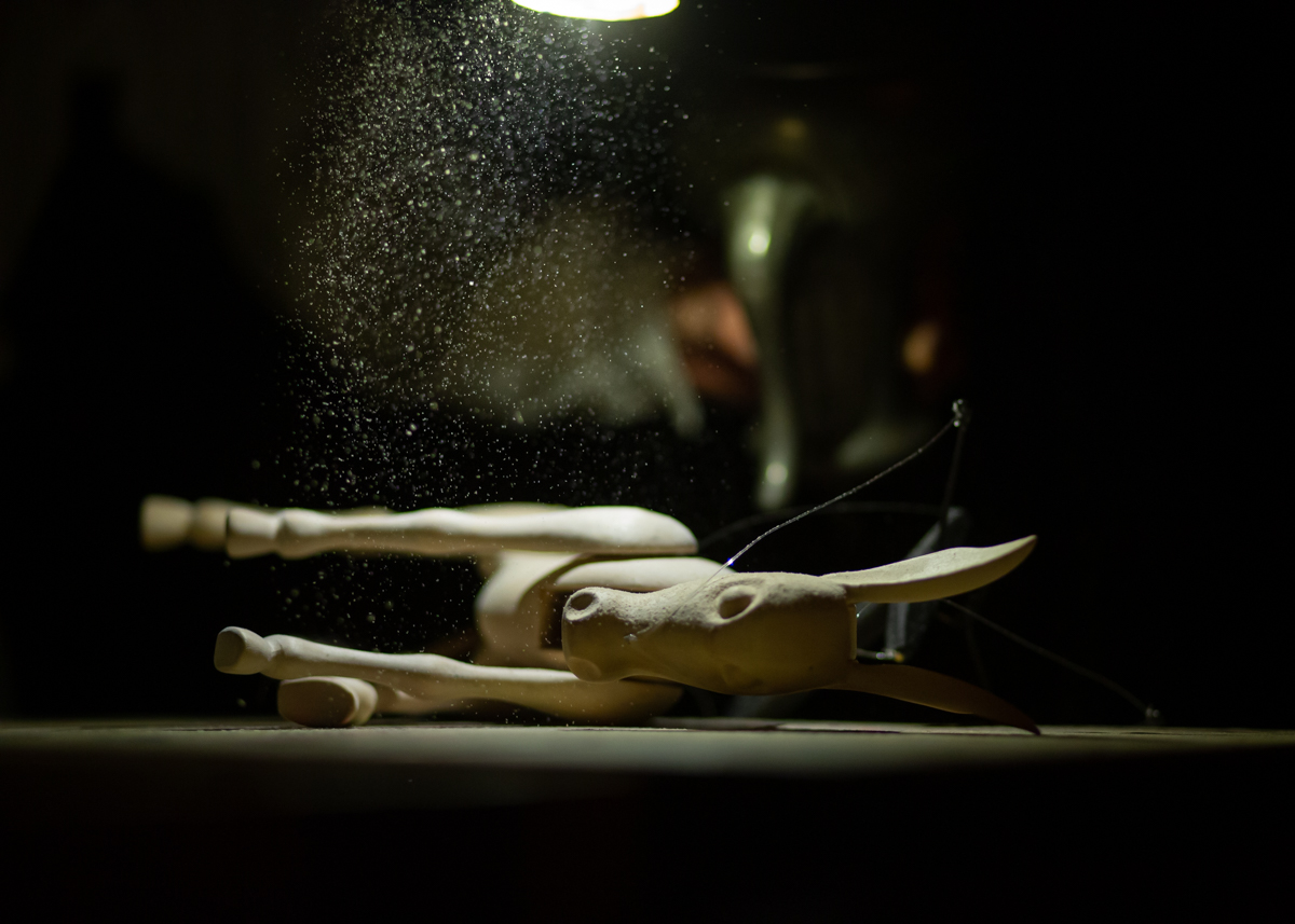 Pinokio FOTO Boštjan Lah.jpg, Novosadske pozorišne igre