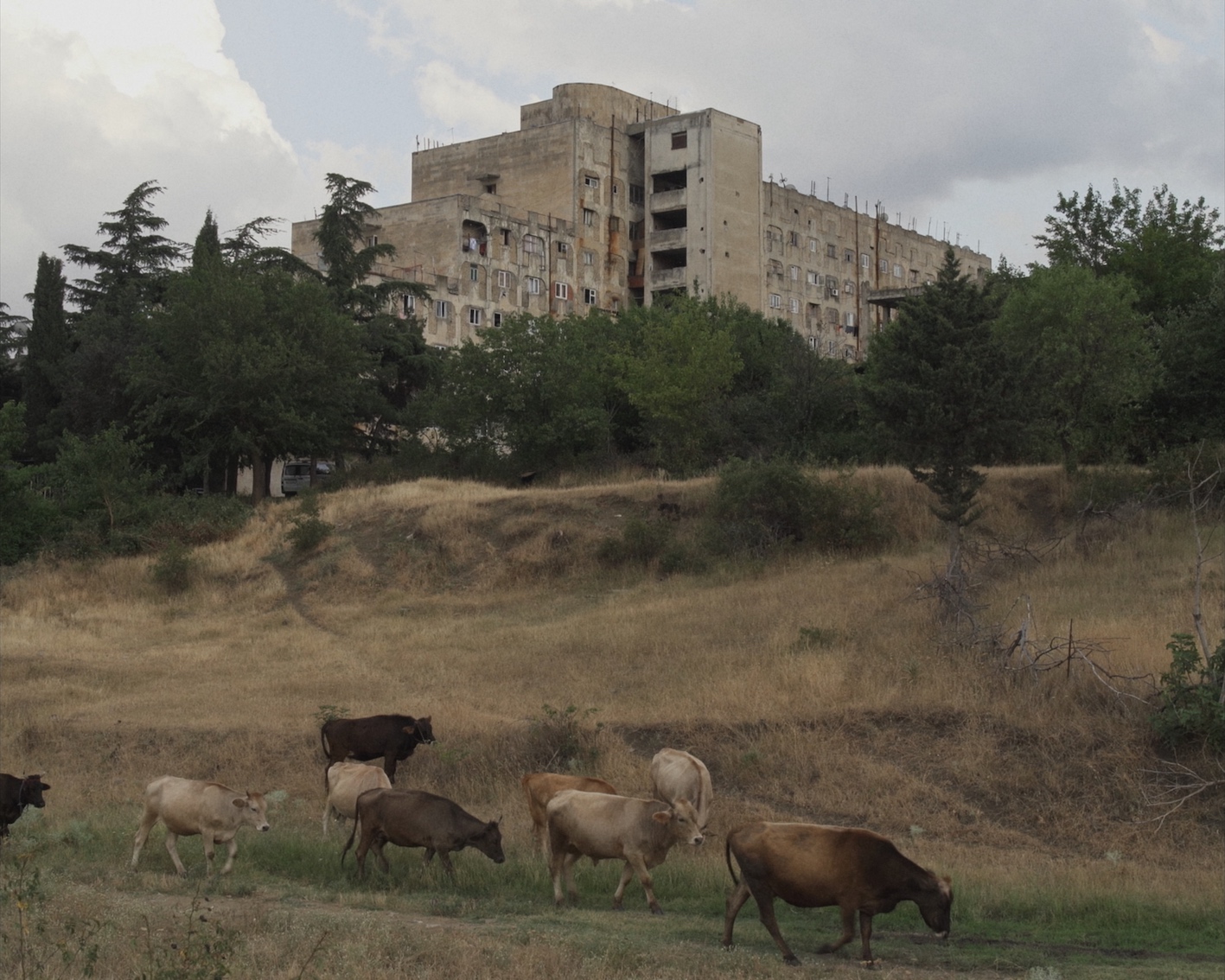 19. Međunarodnog festivala dokumentarnog filma Beldocs TheKartliKingdom_Still02.jpeg