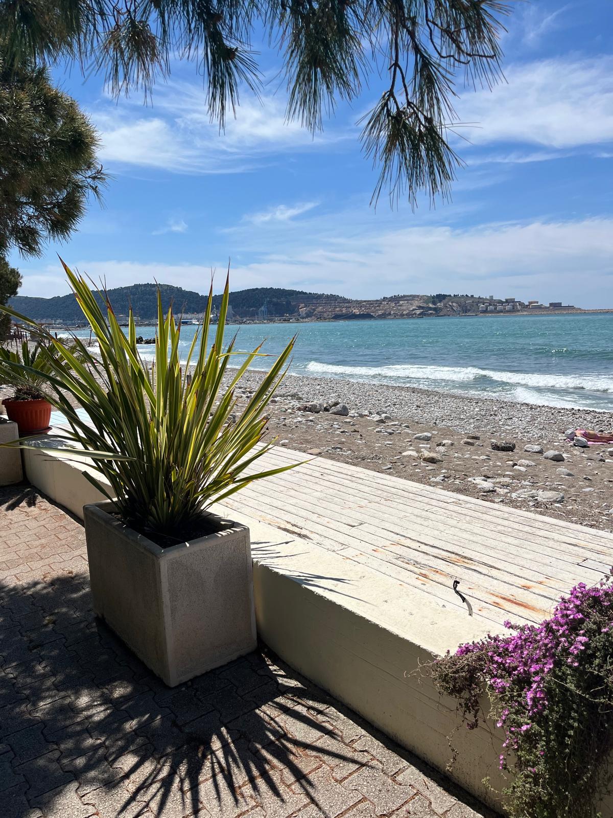 More, Bar, 2026, Foto: Oliver Mijušković/Nova.rs