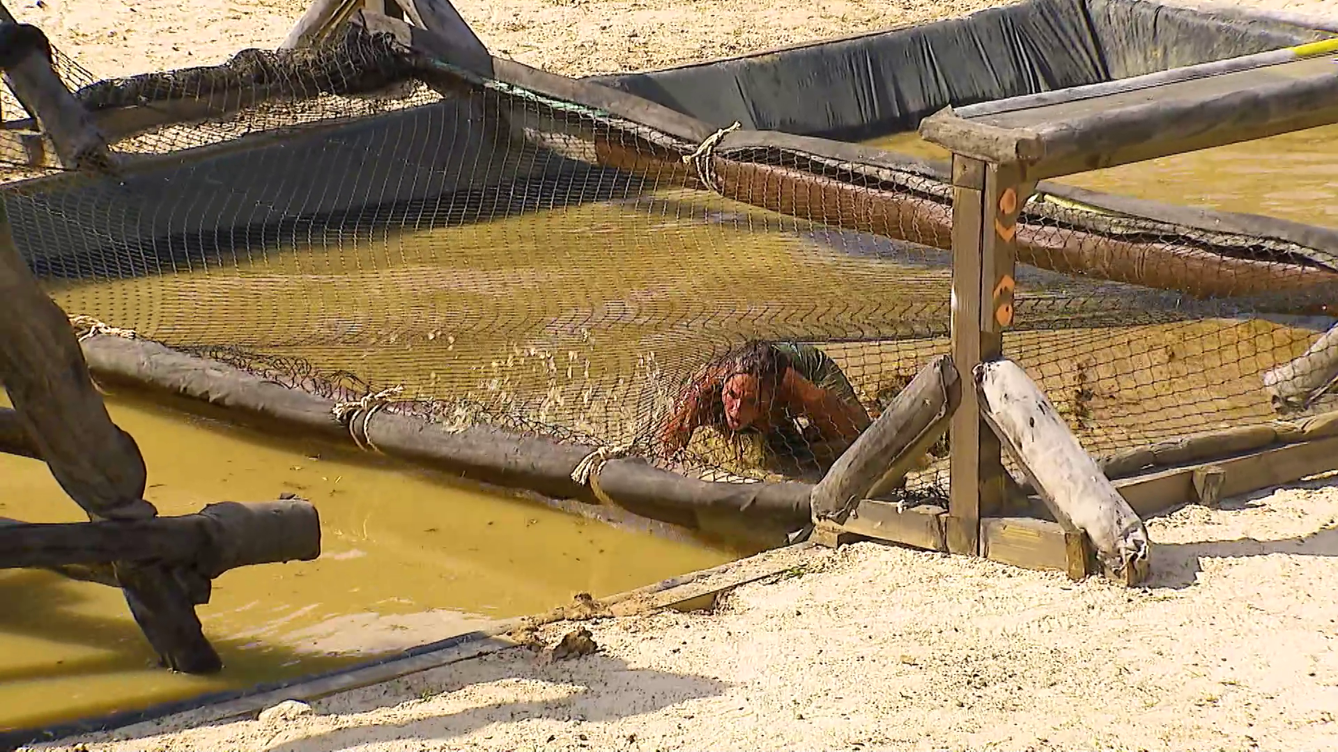 Foto: TV Nova / Survivor 2026