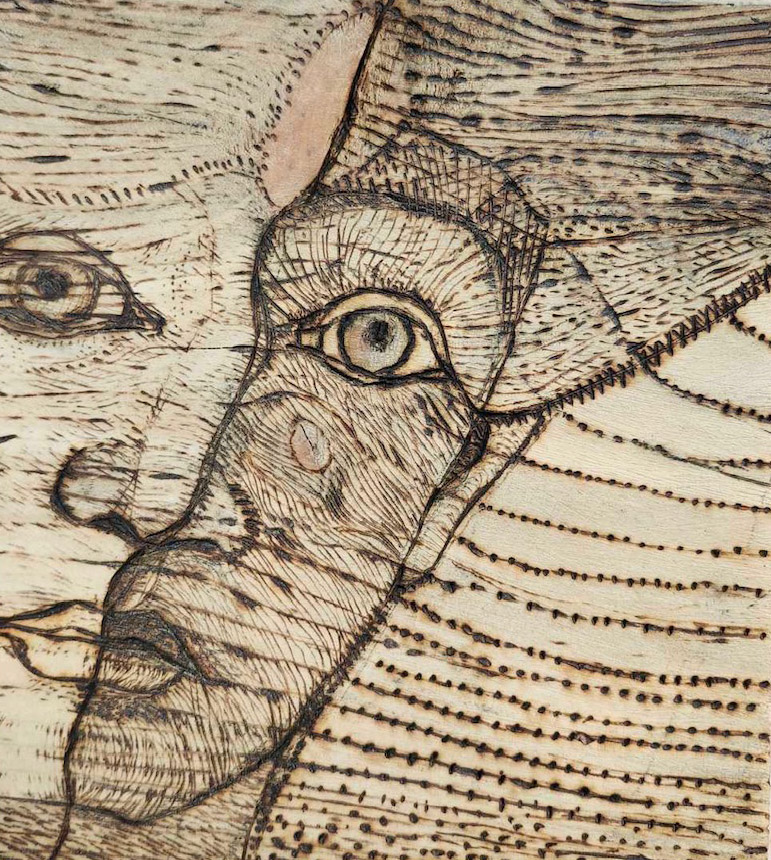 Sonja Radan - crtež na drvetu.JPG