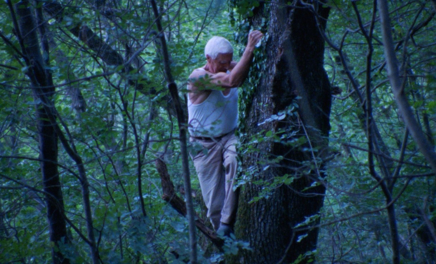 Obična kruška, kadar iz filma (12).jpg, „Dani slovenačkog filma”