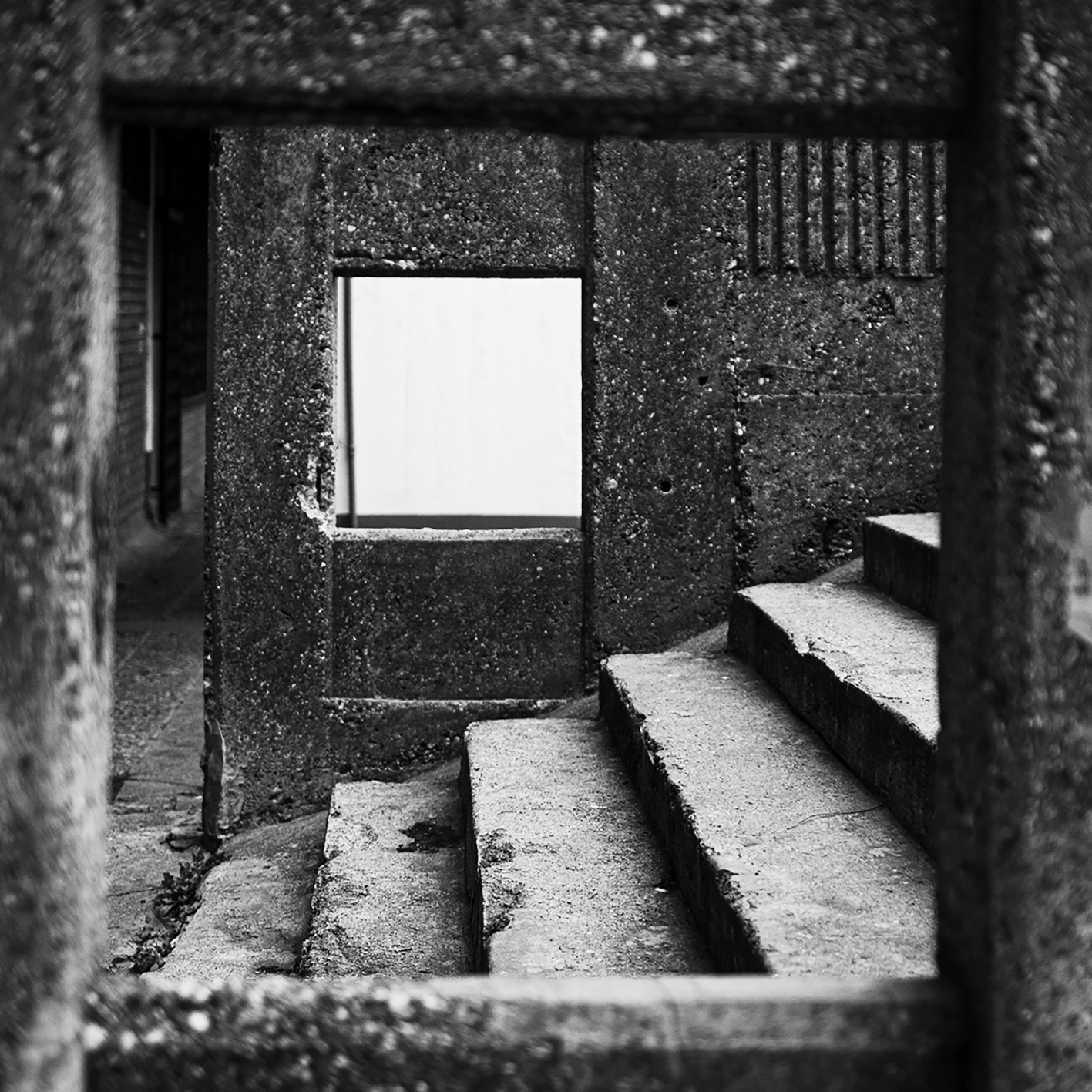 Izložba Tragovi Prisustva, Vinogradova Olga.jpg