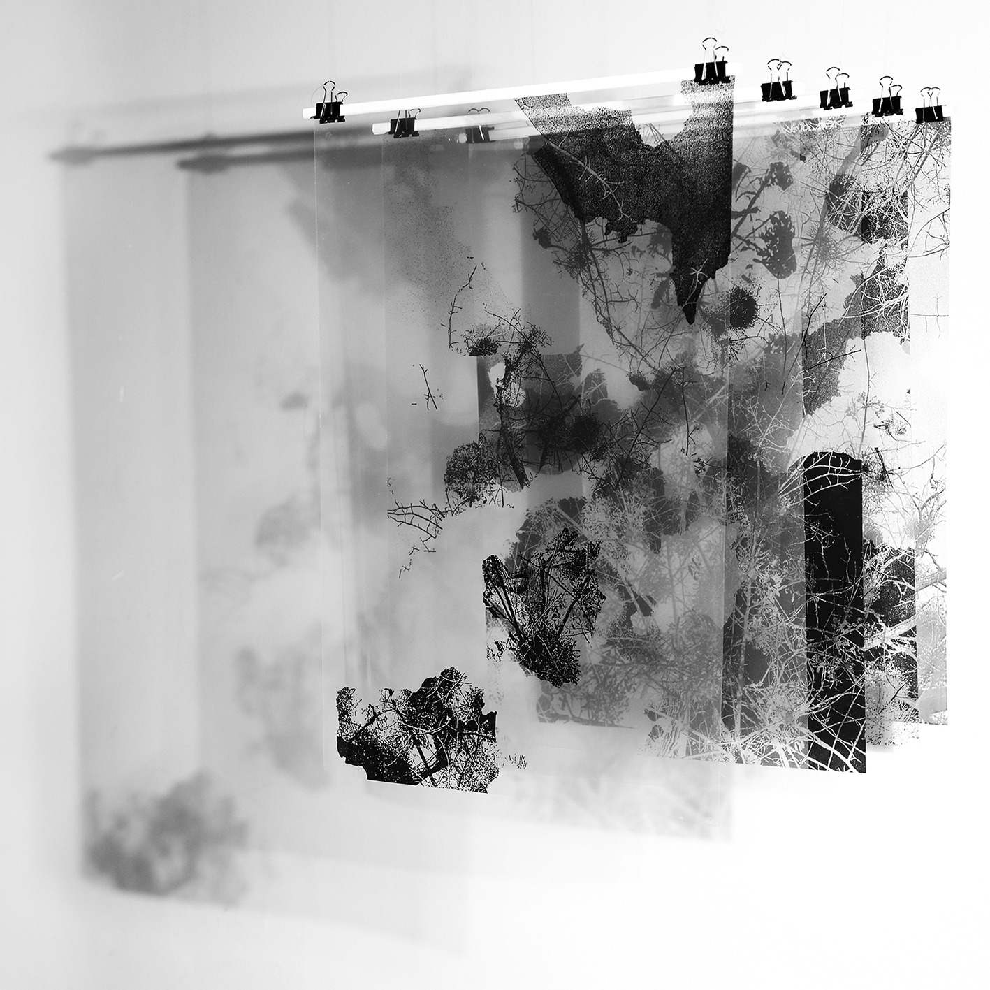 Izložba Tragovi Prisustva, Emilia Sandic.jpg