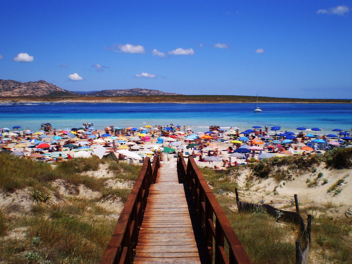 profimedia-1012464379