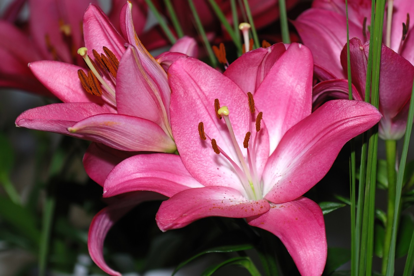 profimedia-0089862411