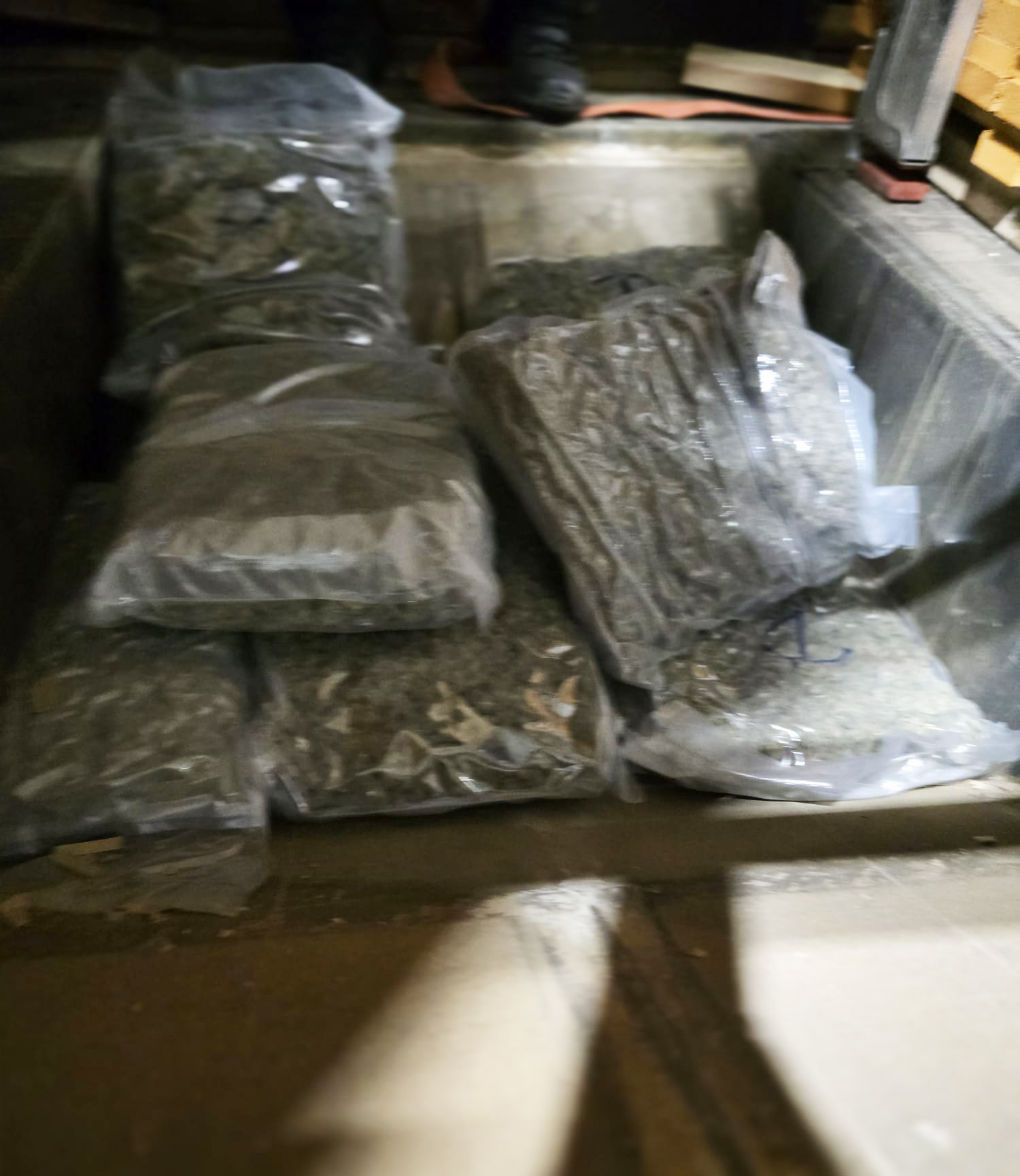batrovci zaplena 200kg marihuana marihuane