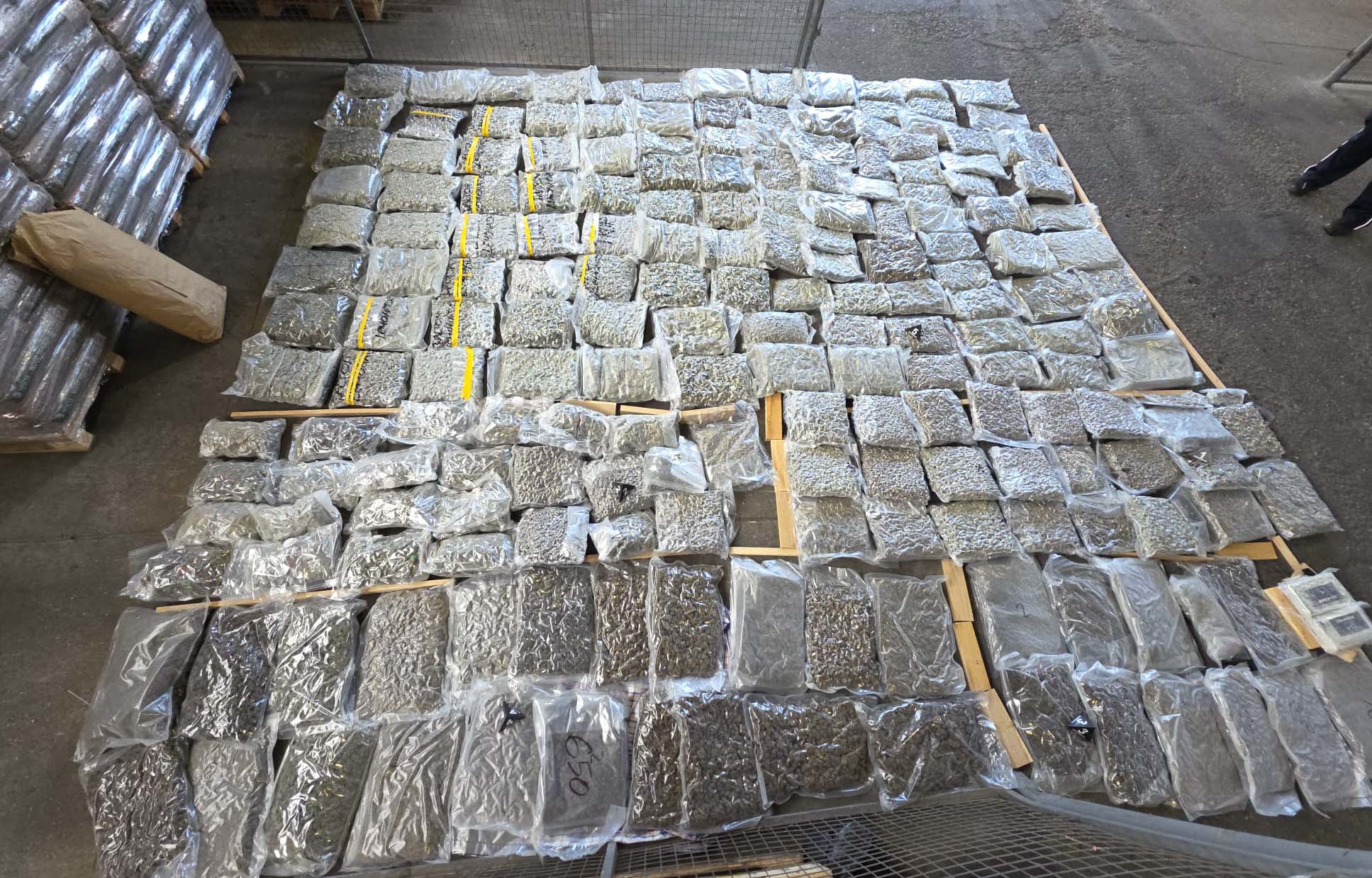batrovci zaplena 200kg marihuana marihuane