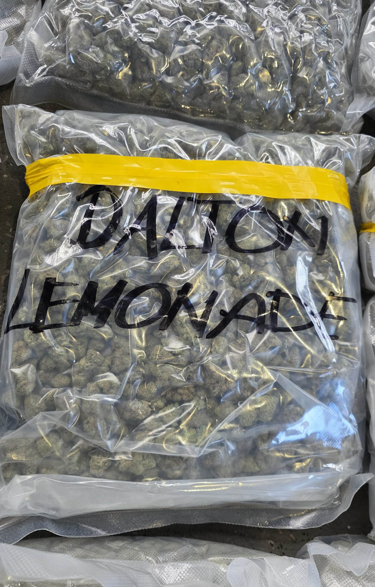 batrovci zaplena 200kg marihuana marihuane