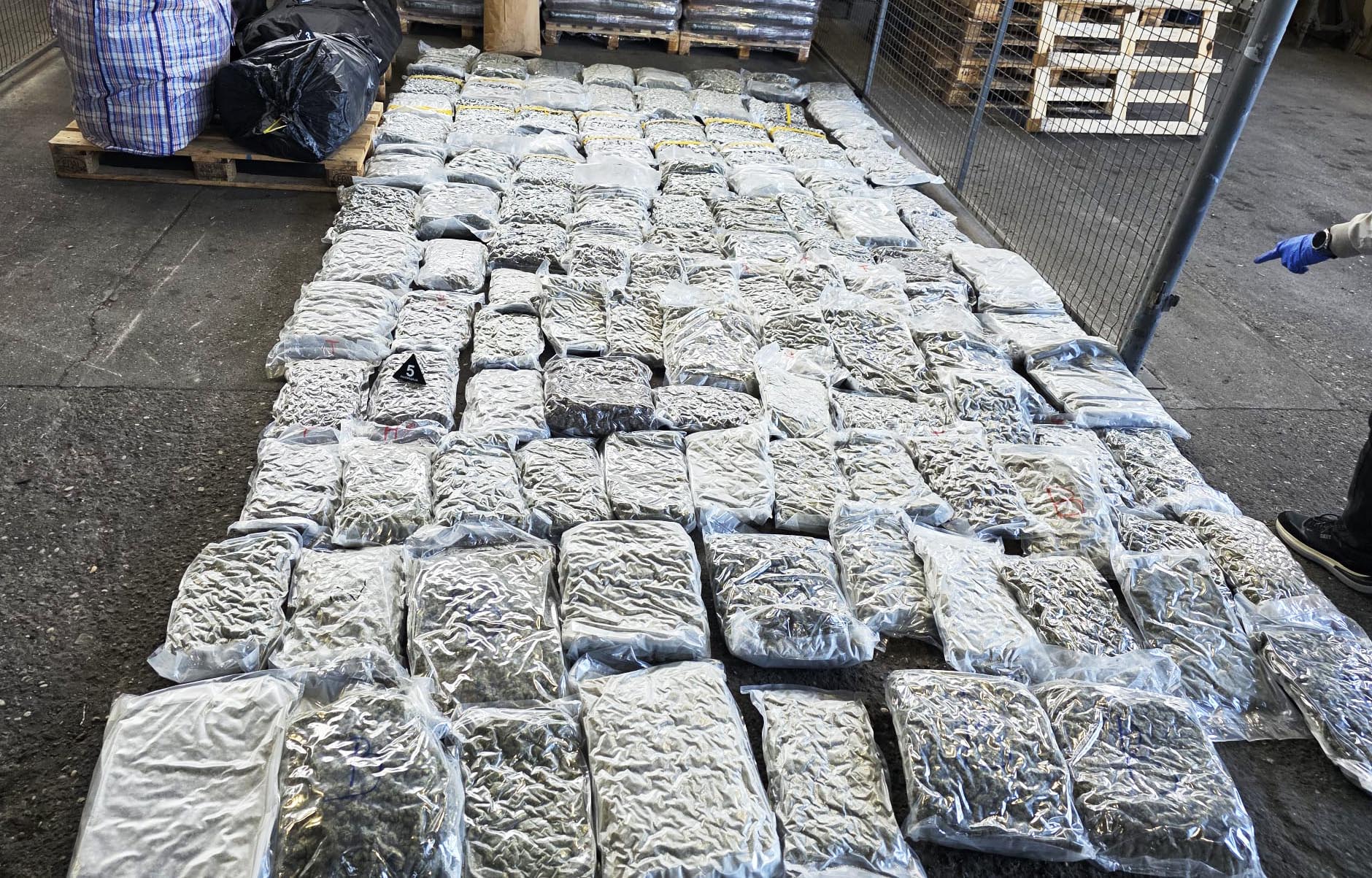 batrovci zaplena 200kg marihuana marihuane