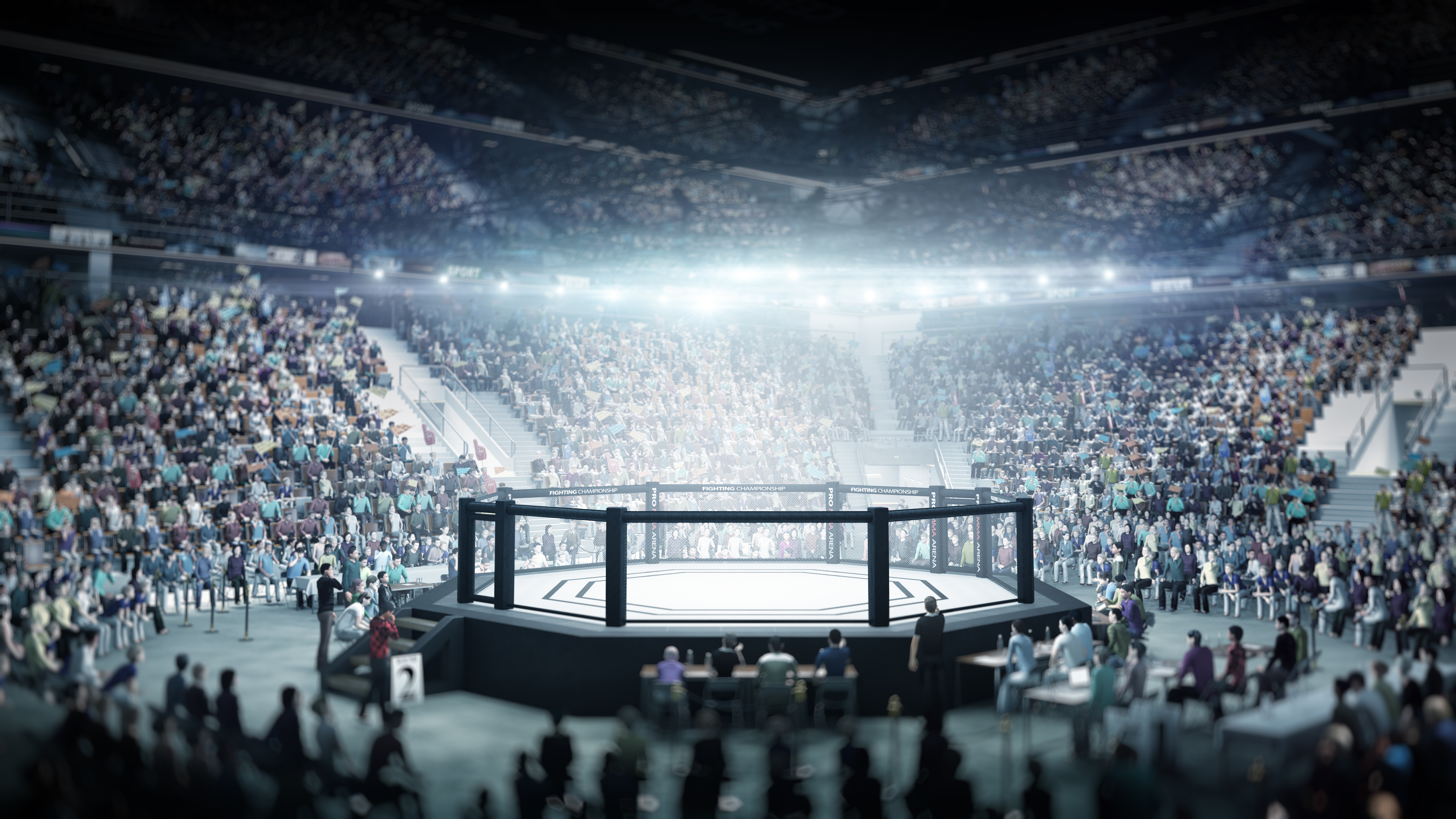 MMA oktagon ilustracija shutterstock_2376375091.jpg