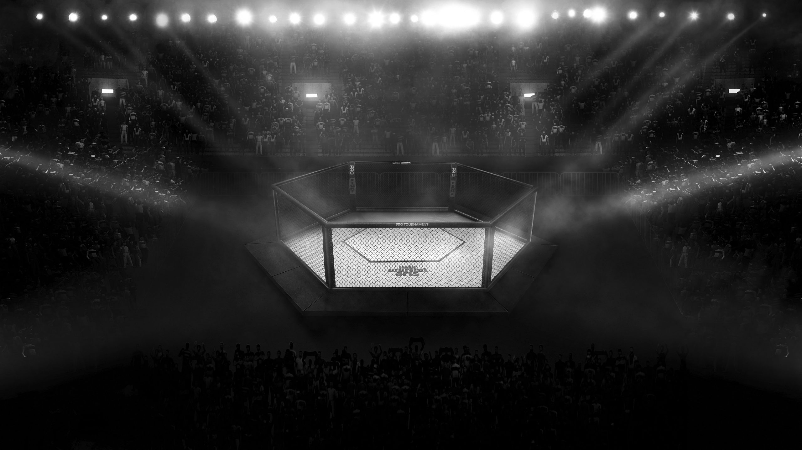 MMA oktagon ilustracija 1647451920-shutterstock_688746844a-scaled.jpg