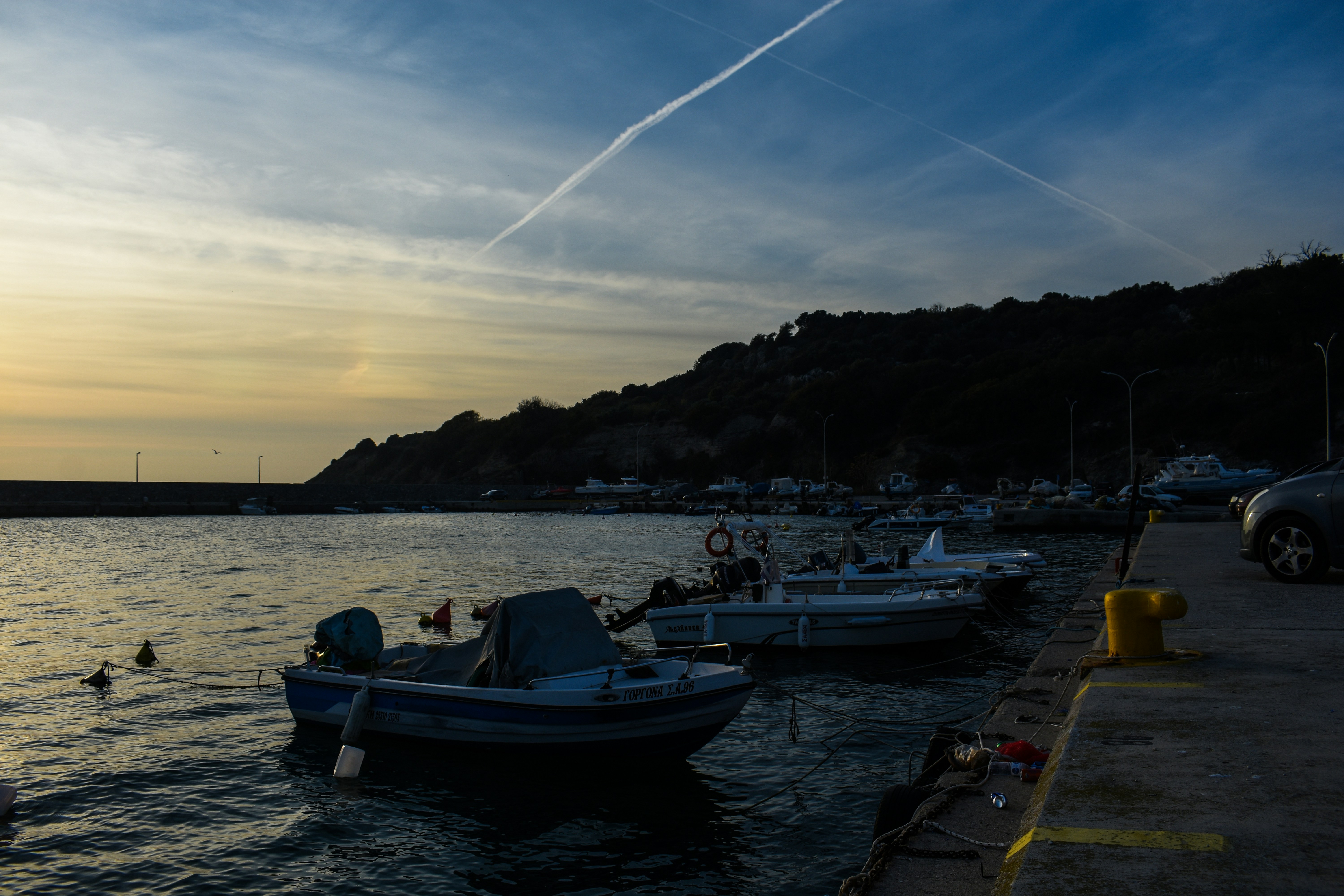 maria-vasiliki-kassou-WepsEAA4dog-unsplash
