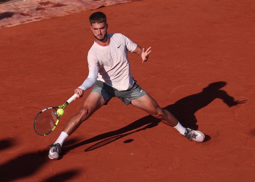 Dino Prizmic CRO, Herren Einzel, Men s Singles Tennis - French Open