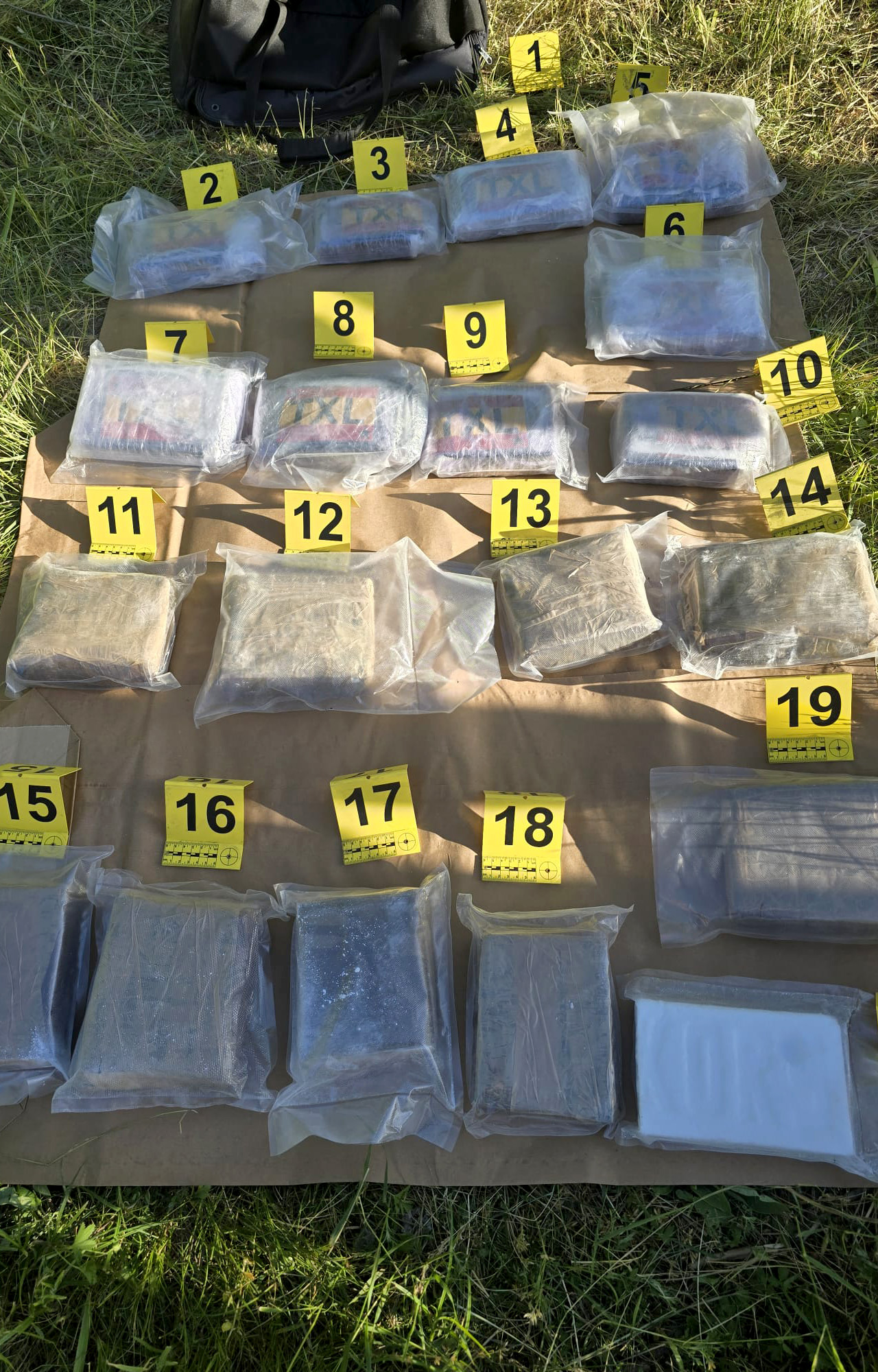 Kokain droga zaplena Bačka Palanka