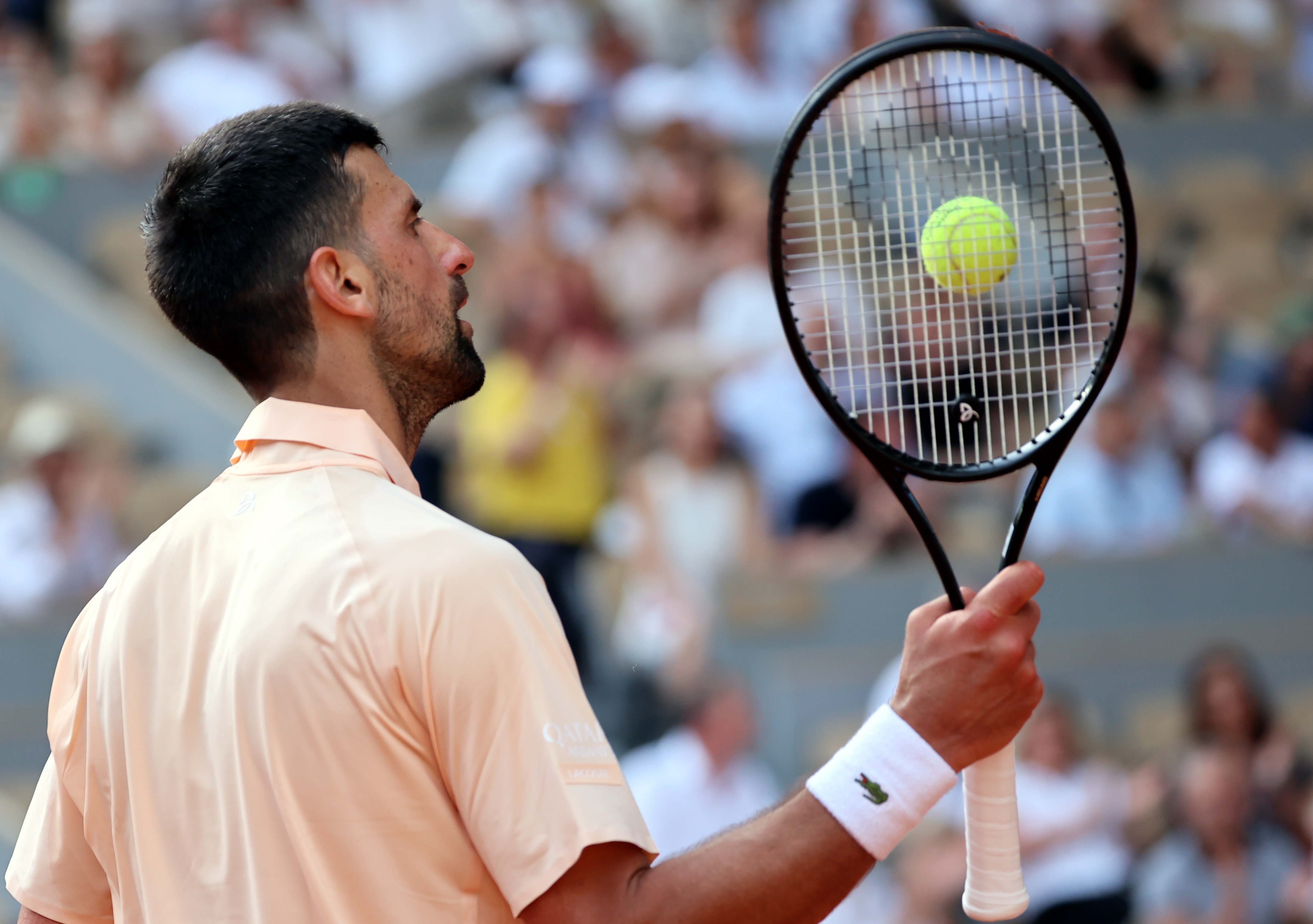 Novak Đoković 14029865.jpg