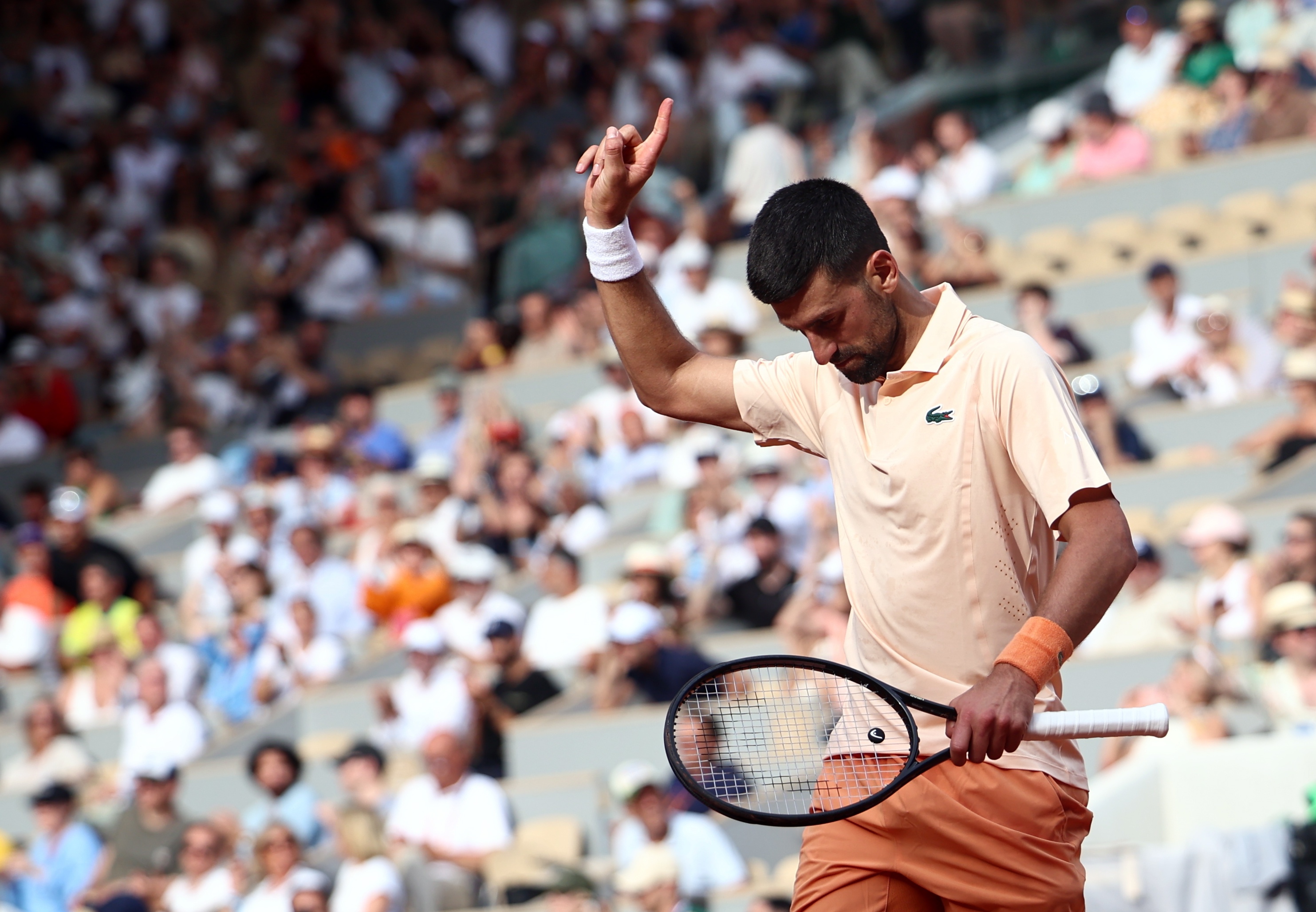 Novak Đoković 14029686.jpg