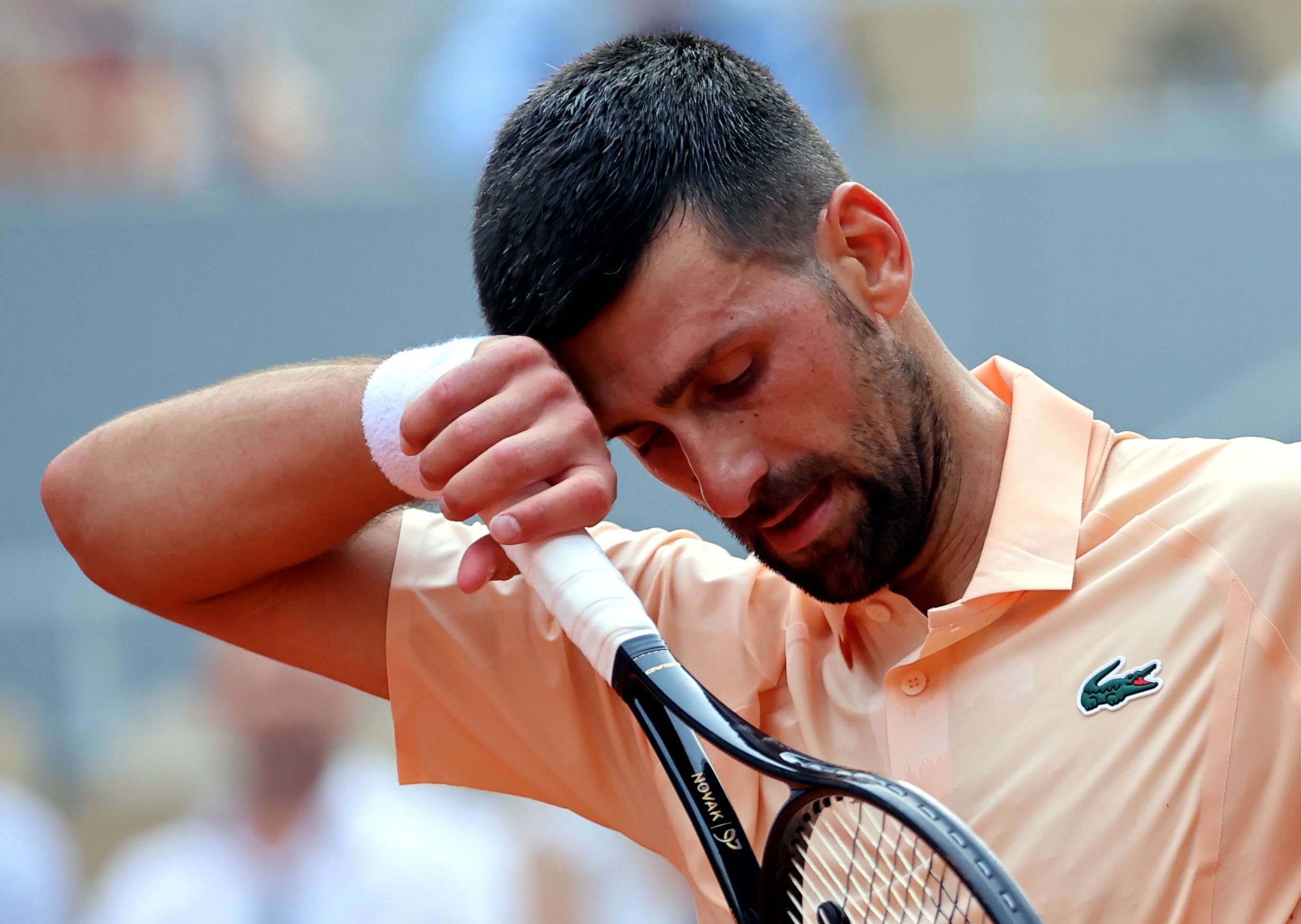 Novak Đoković 14029964.jpg