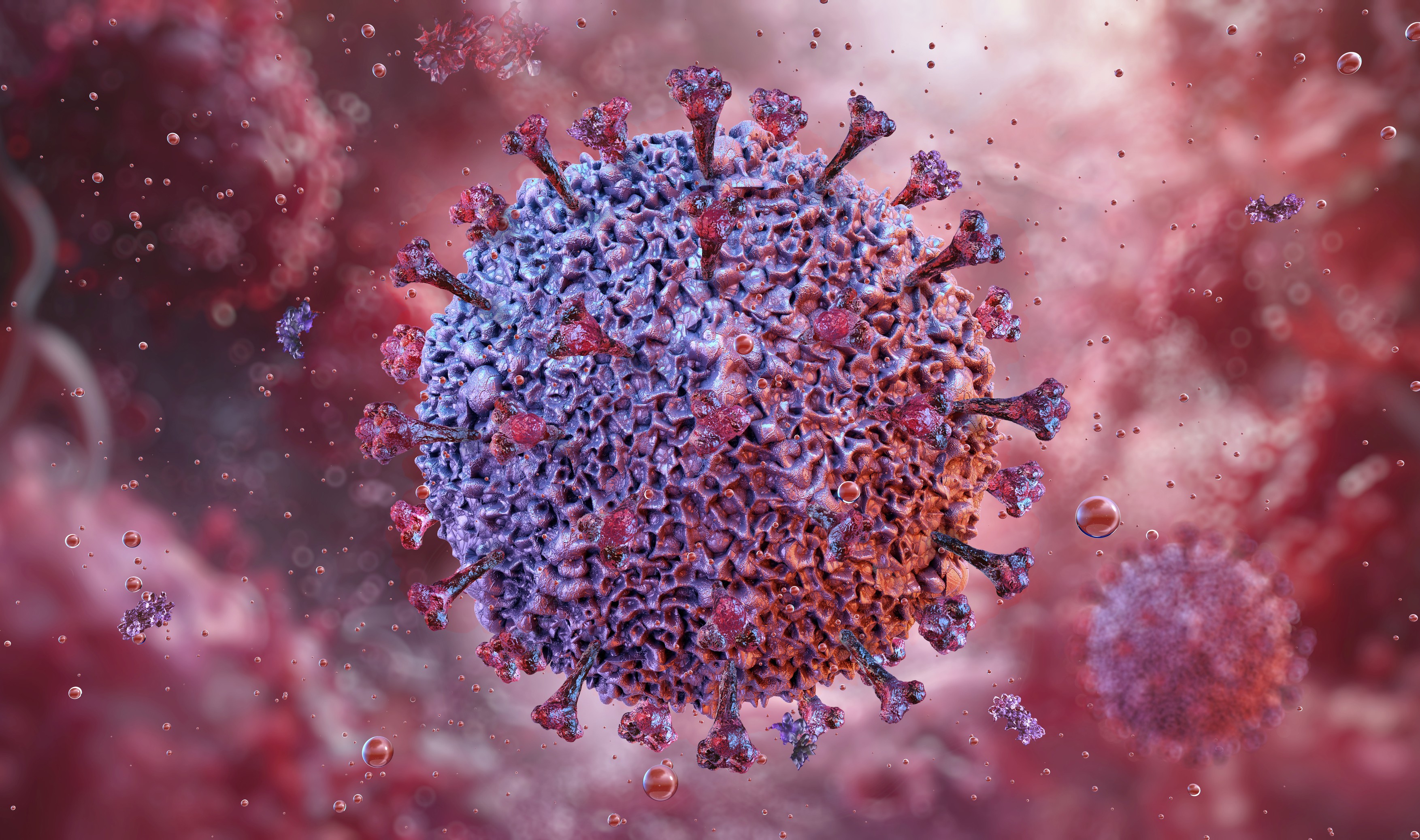 Epstein-Barr virus (EBV), illustration. EBV, also known as human herpes virus 4,
