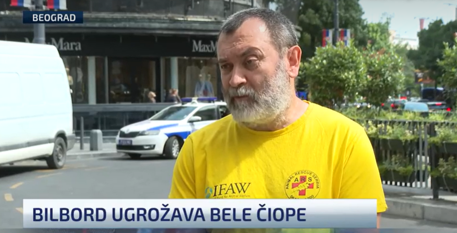 Udruženje za zaštitu životinja
