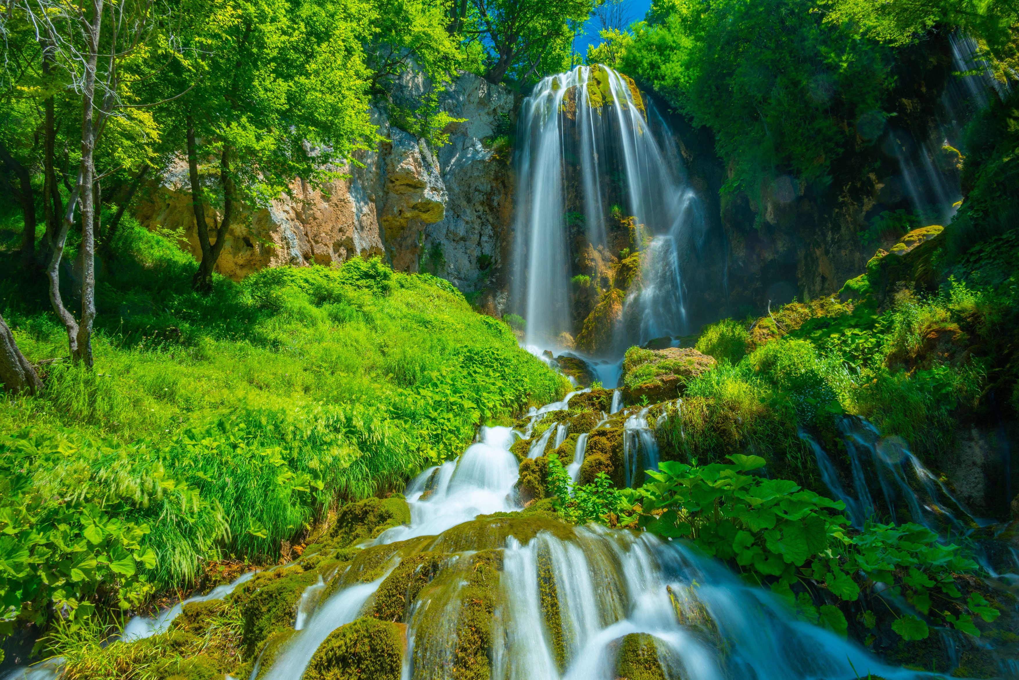Image: 994955875, License: Royalty-free, Restrictions: , Model Release: no  , Credit line: Pavel Dudek / Alamy / Profimedia