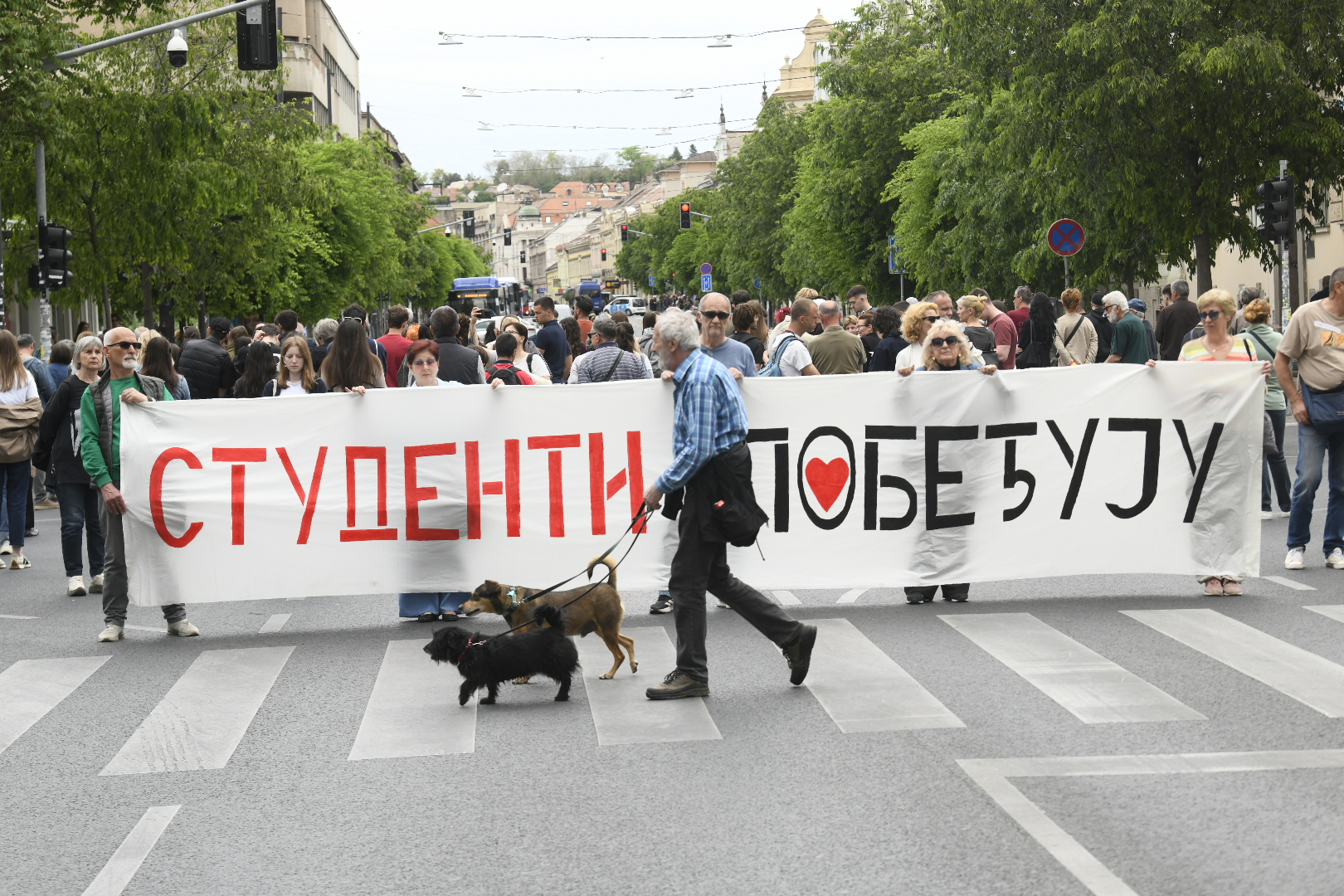 Zemun 07.05.2026 Protest