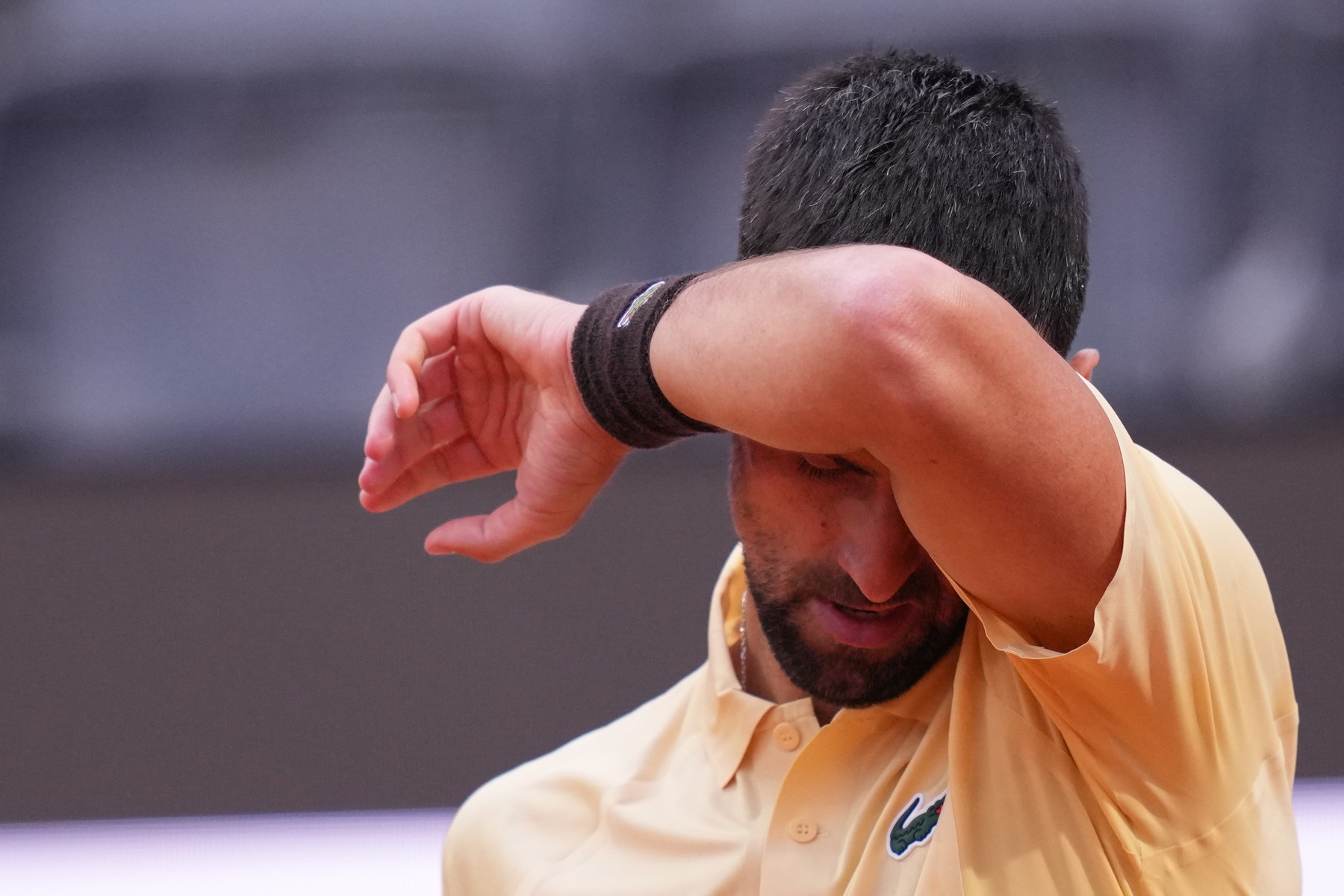 Novak Đoković profimedia-1097409223.jpg