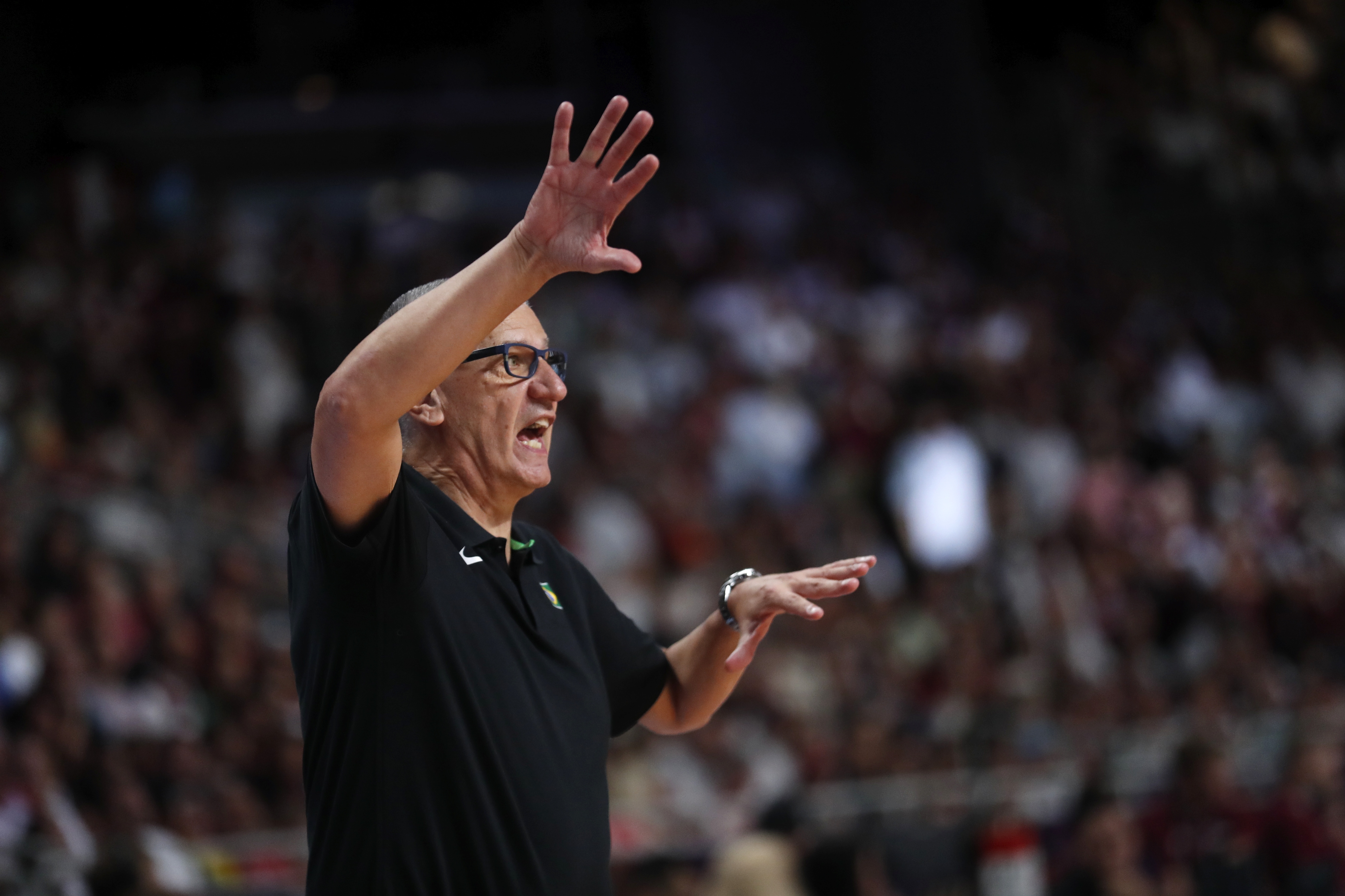 Head coach of Brazil Aleksandar Petrovic