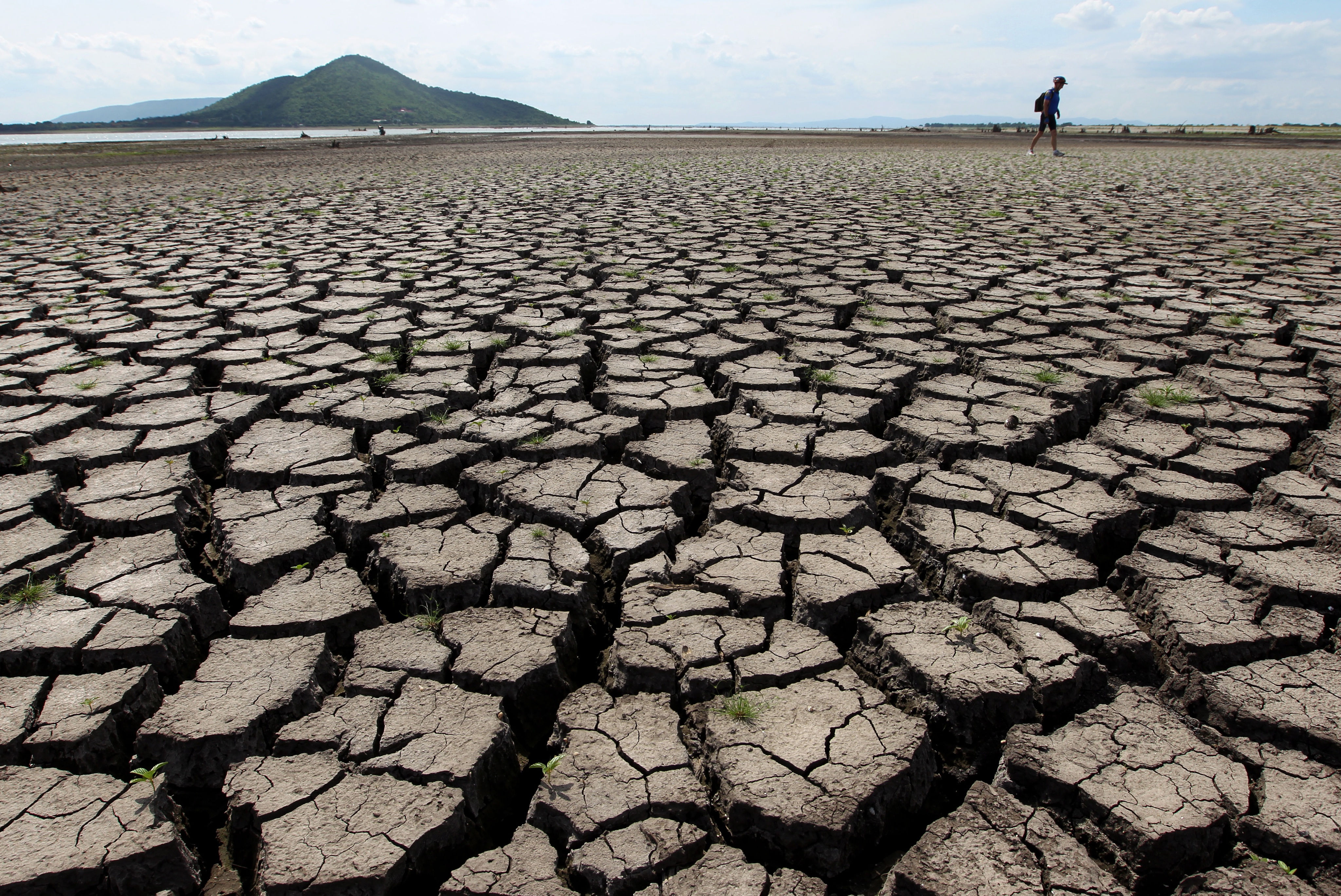 Super El Niño 2576998.jpg