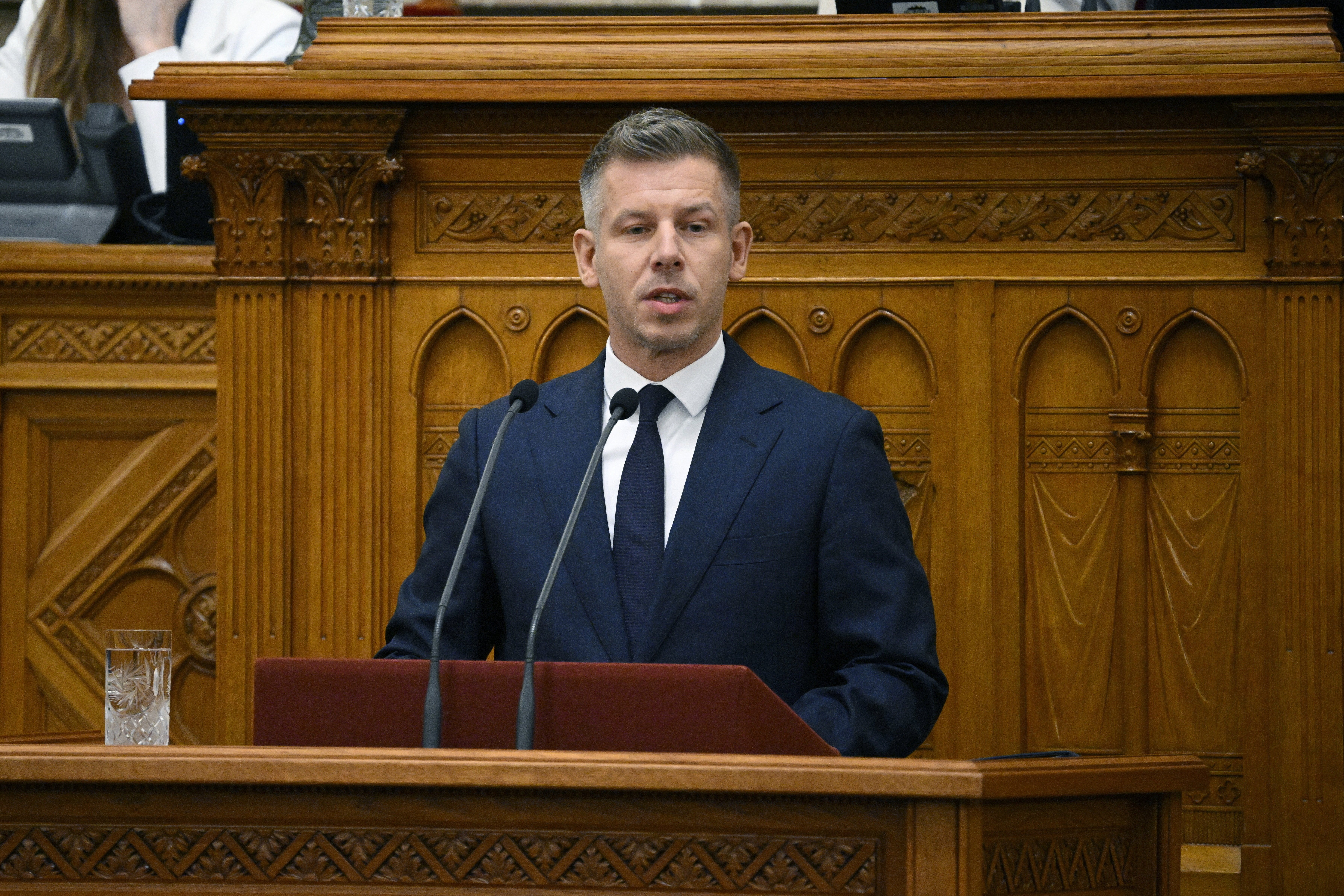 Peter Mađar Mađarski parlament 14089464.jpg