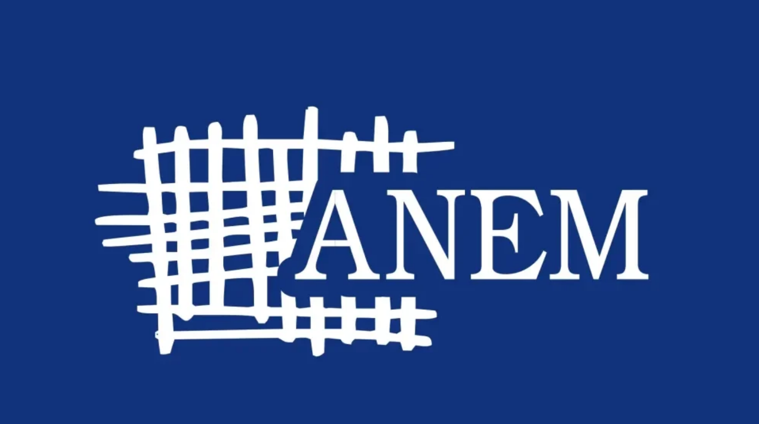 Asocijacija nezavisnih elektronskih medija (ANEM)