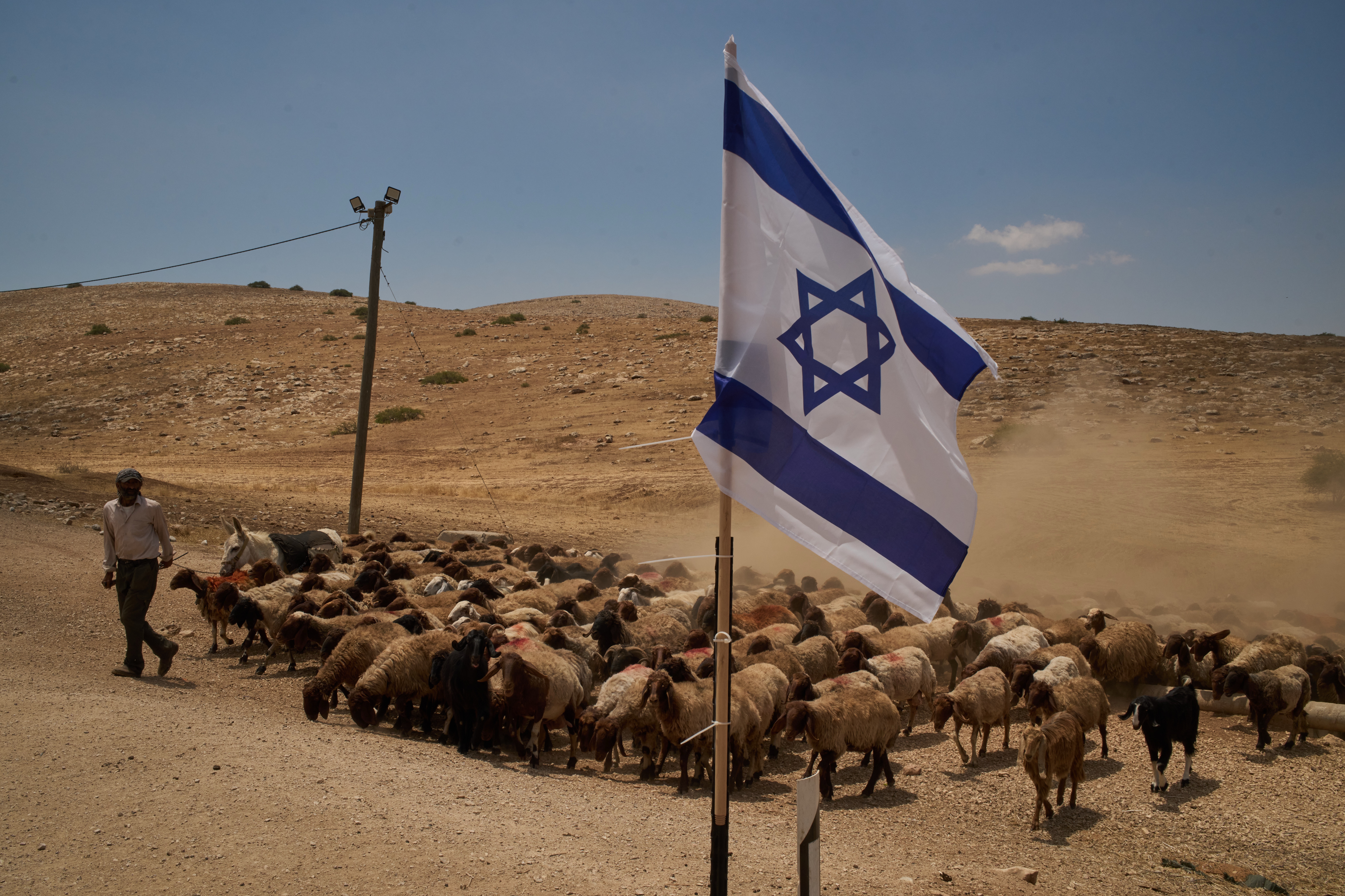 Izrael Palestina zastava