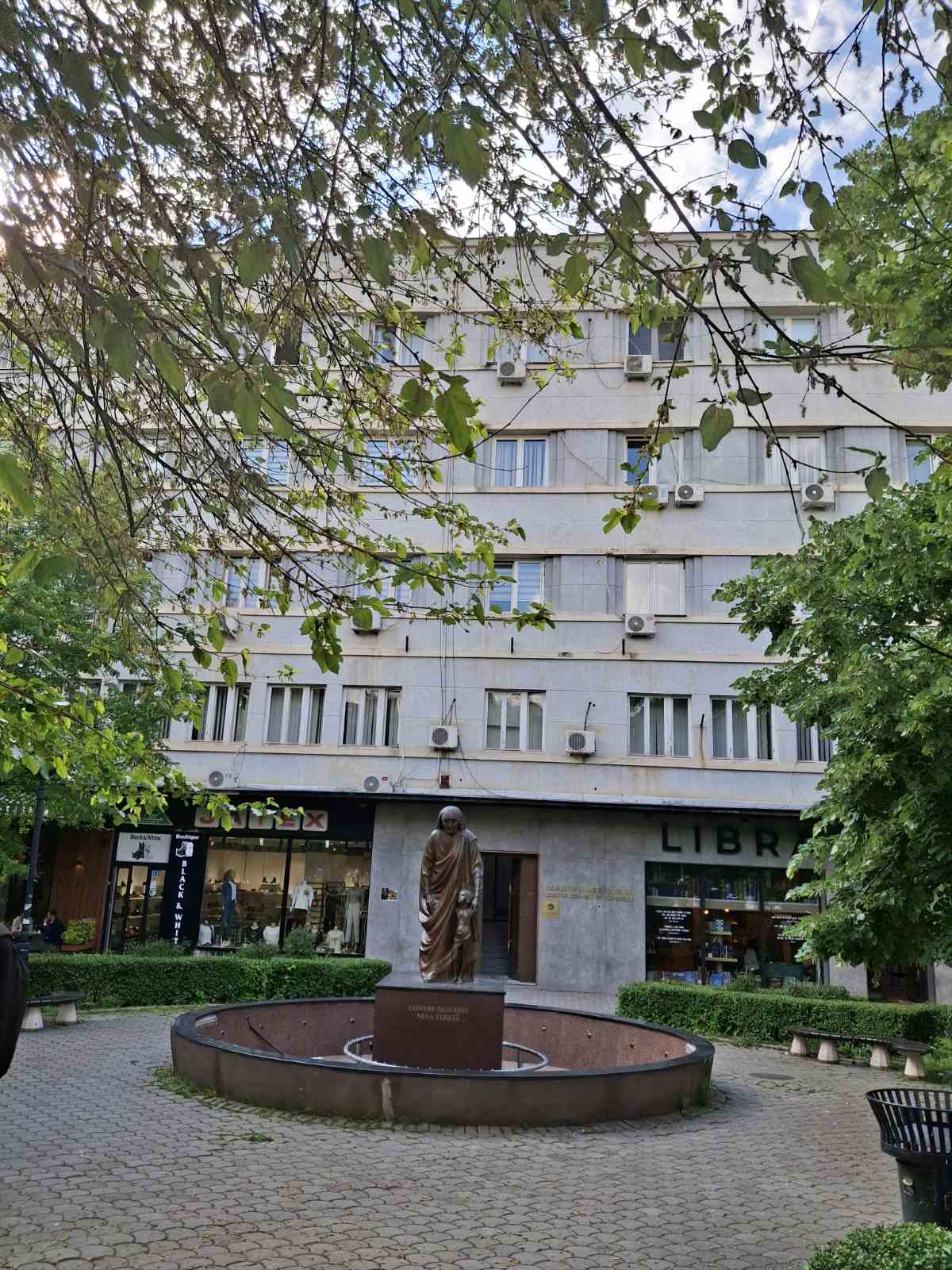 priština jelena koprivica