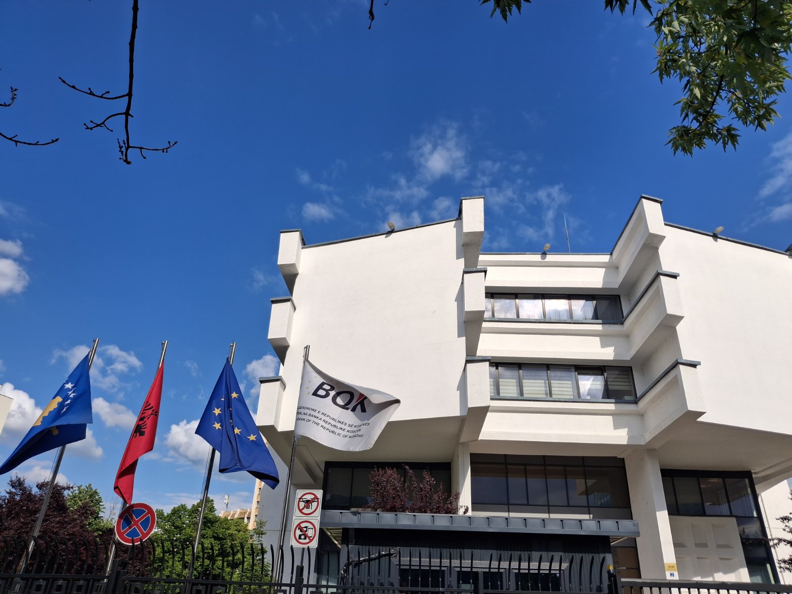 priština jelena koprivica