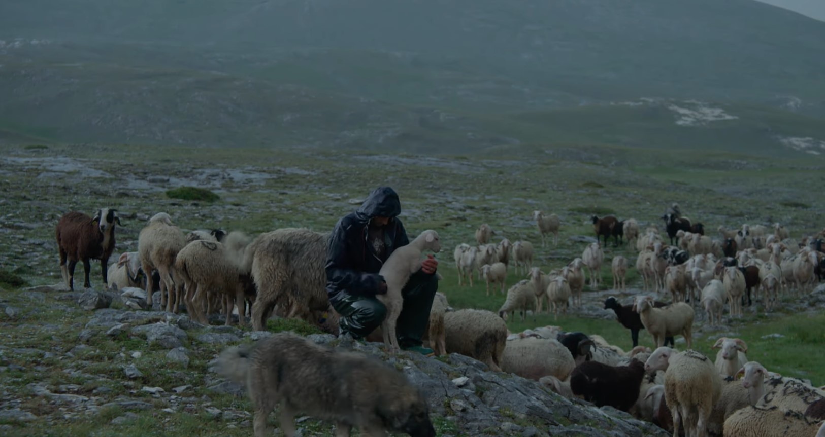 The Mountain Won't Move, Gora se ne bo premaknila