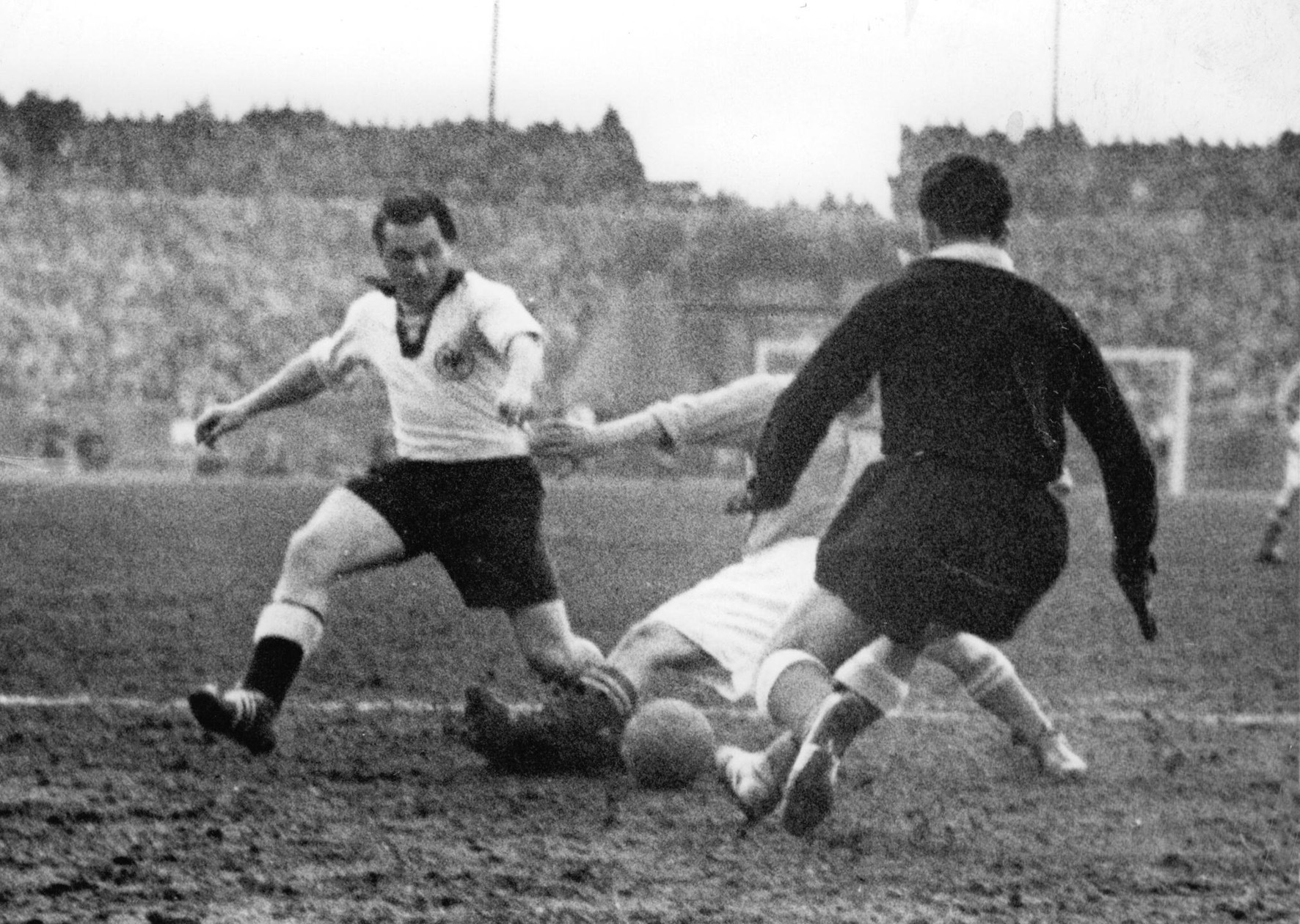 1954 Švajcarska Svetsko prvenstvo profimedia-0679720751.jpg