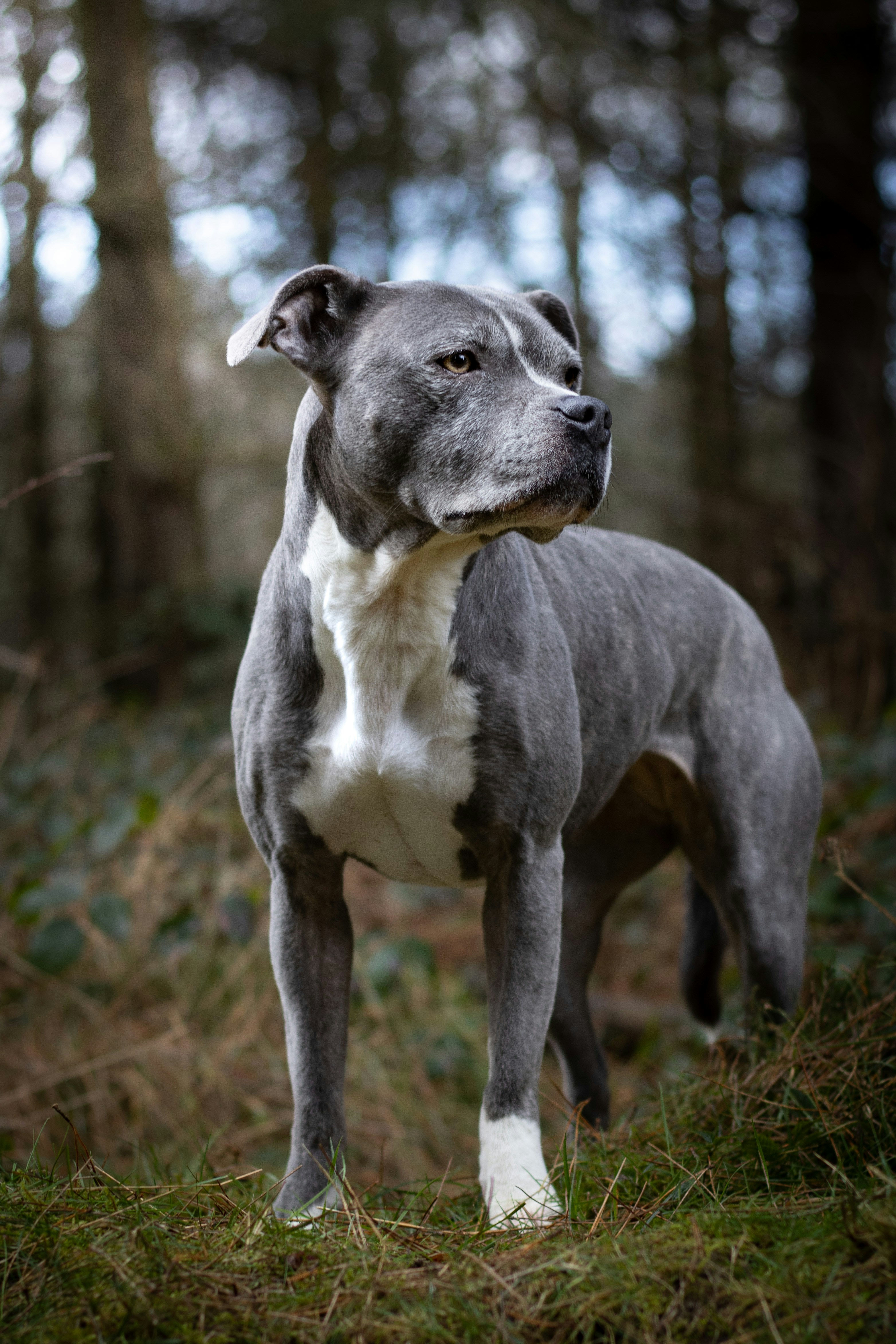Foto: Unsplash/amy-starr