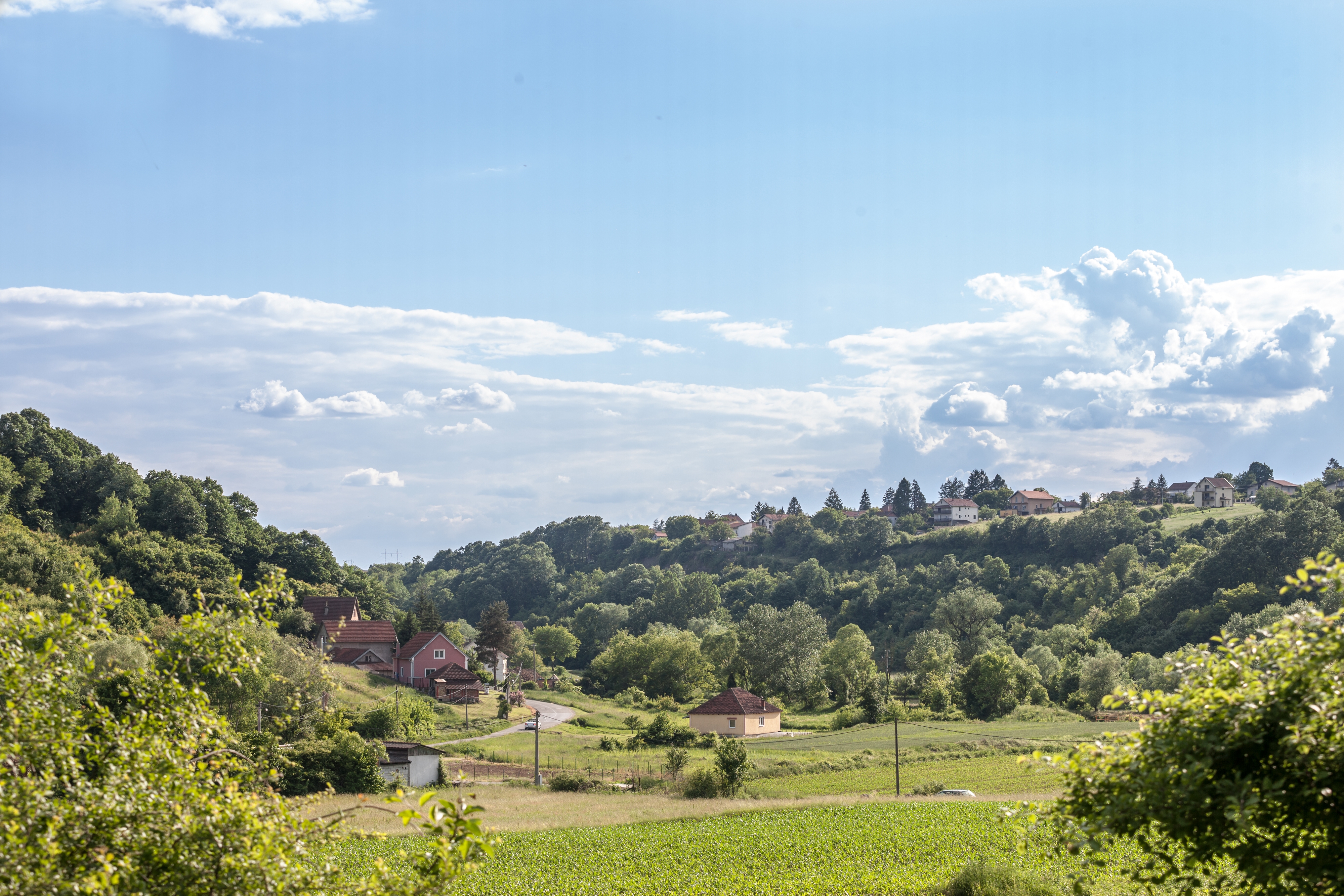 Kosmaj shutterstock_2140933541.jpg