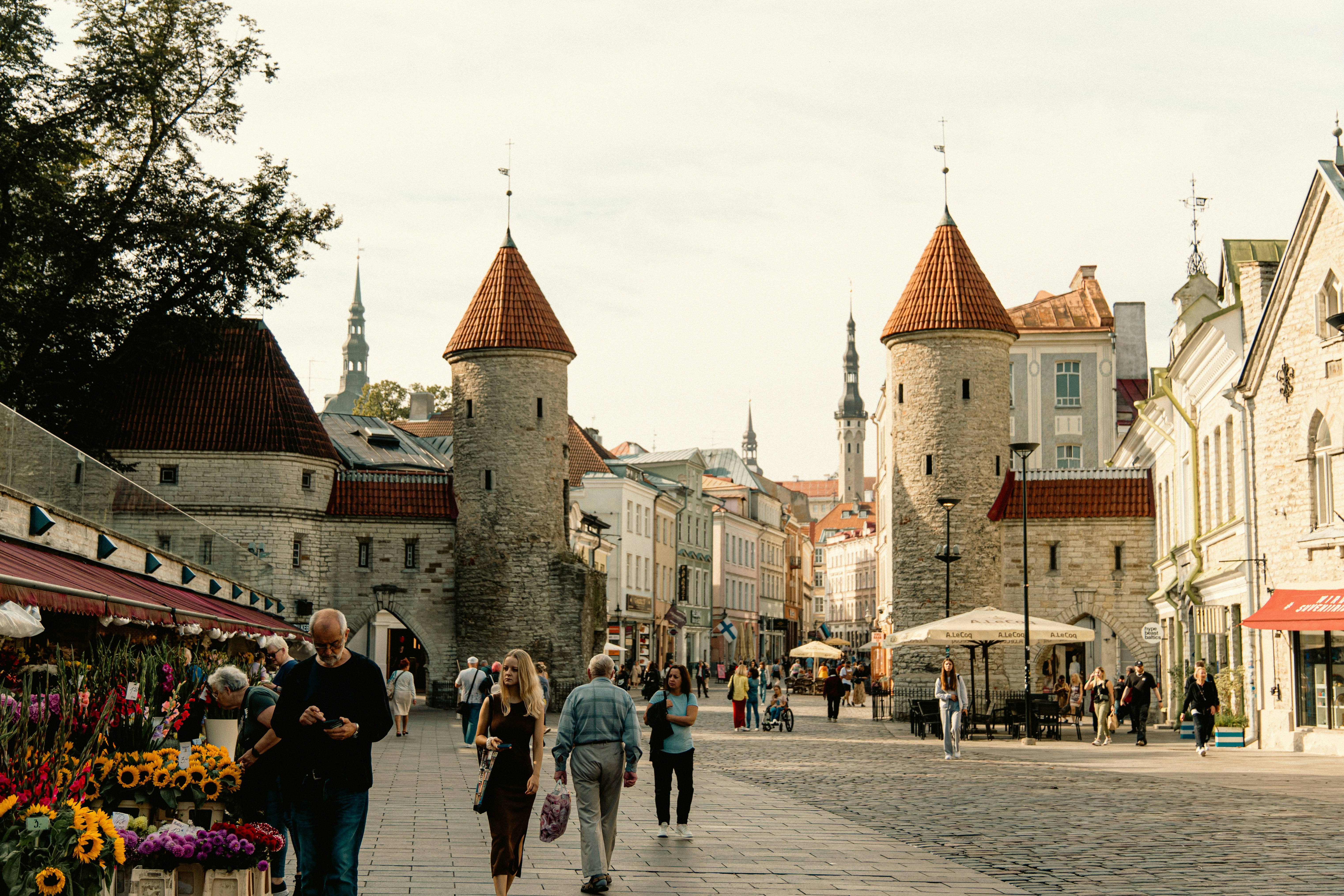 jan-ledermann-Ur3K9ofT26c-unsplash