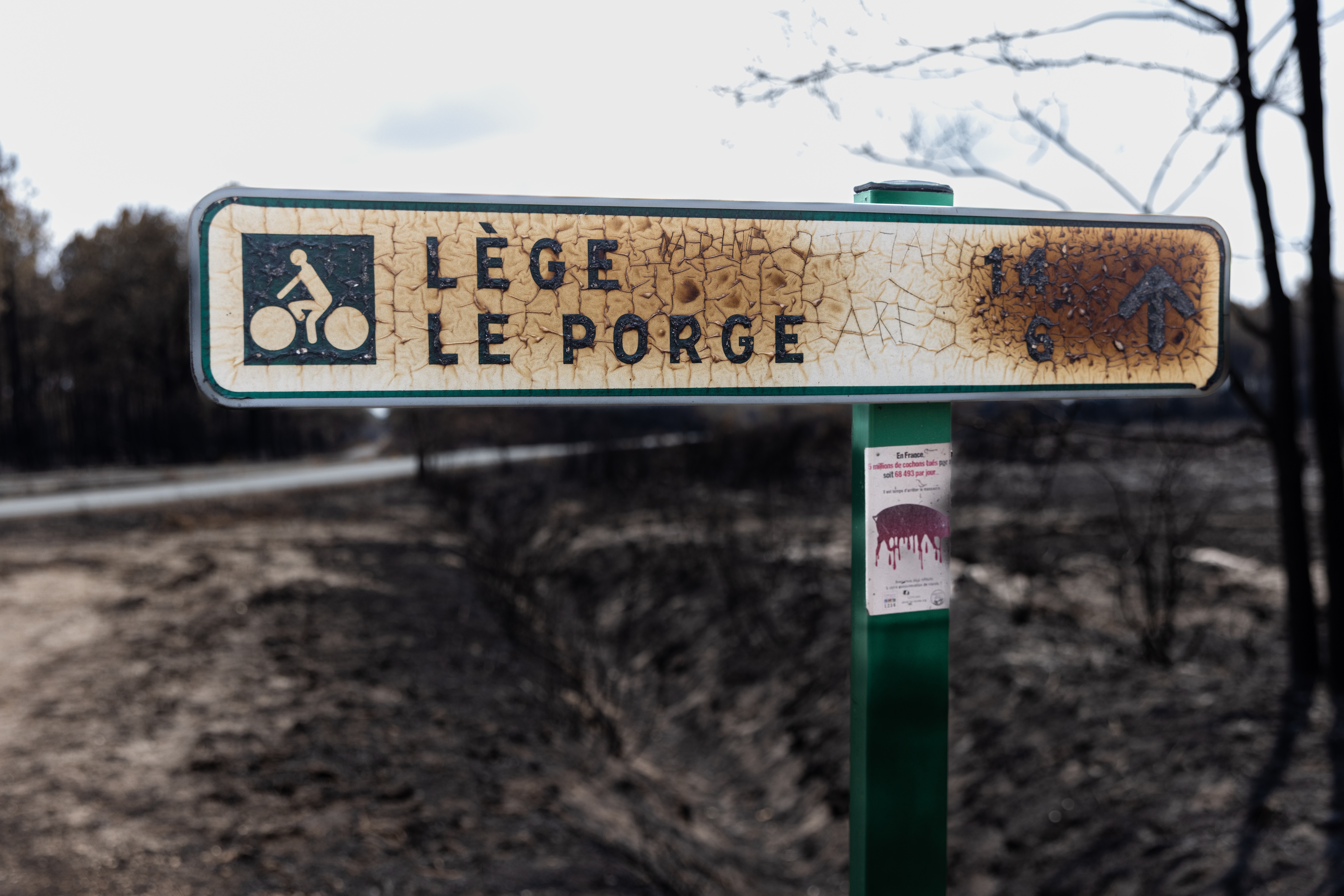 Le Porge  14185354.jpg