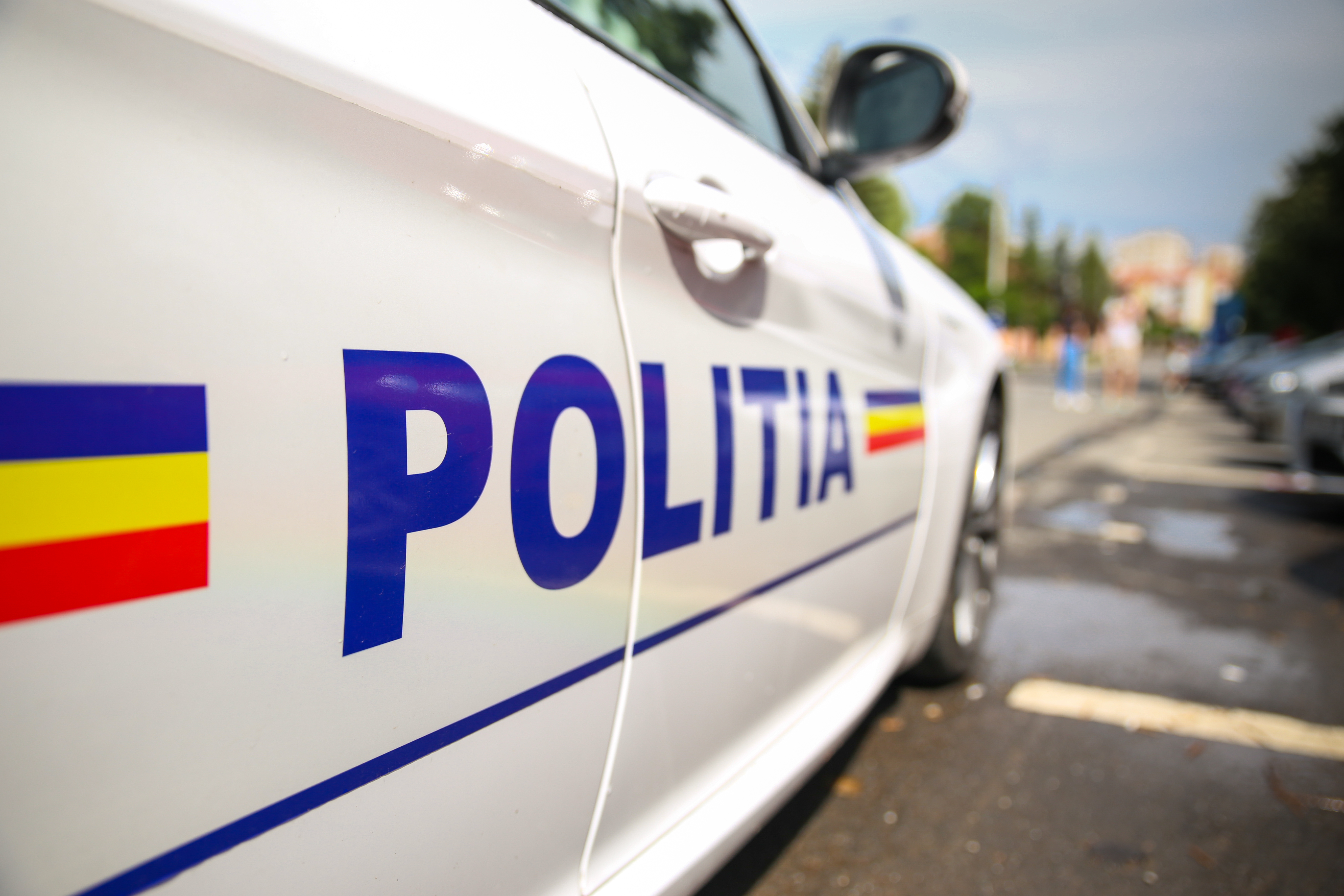 Rumunija policija ilustracija shutterstock_1115366180 Ion Sebastian.jpg
