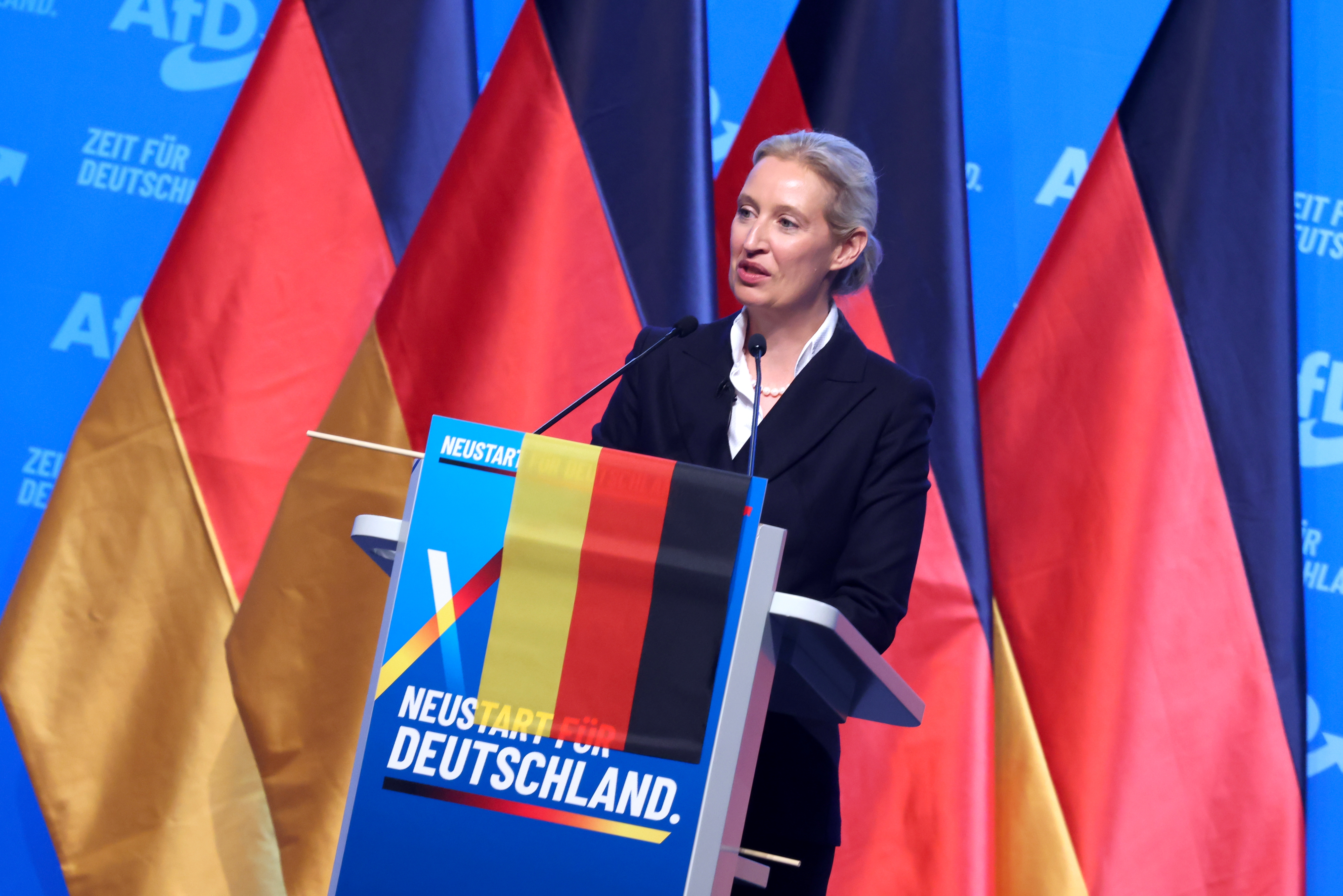 Alternativa za Nemačku (AfD)  14122624.jpg