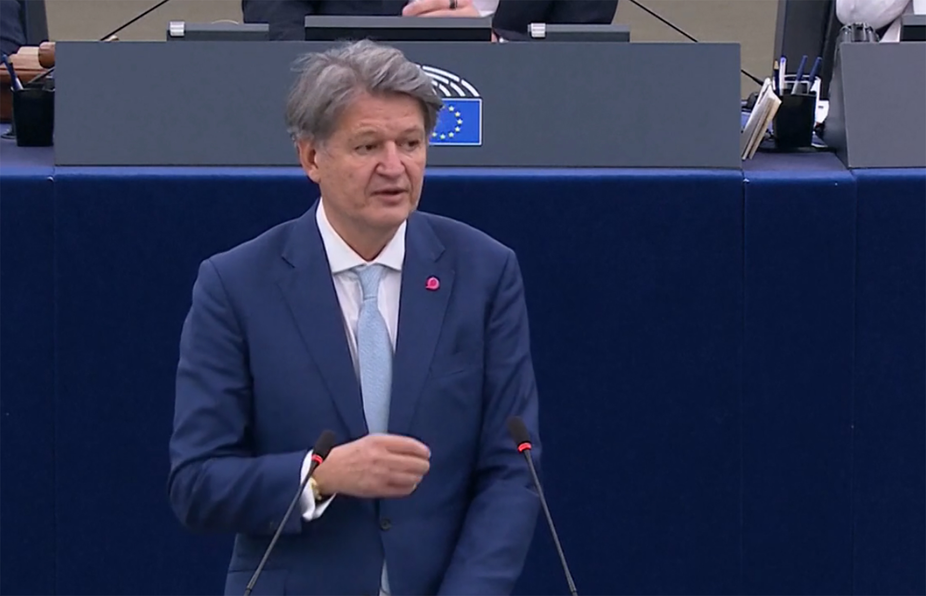 Helmut Brandšteter, Evropski parlament rasprava o Srbiji Foto N1 04.jpg