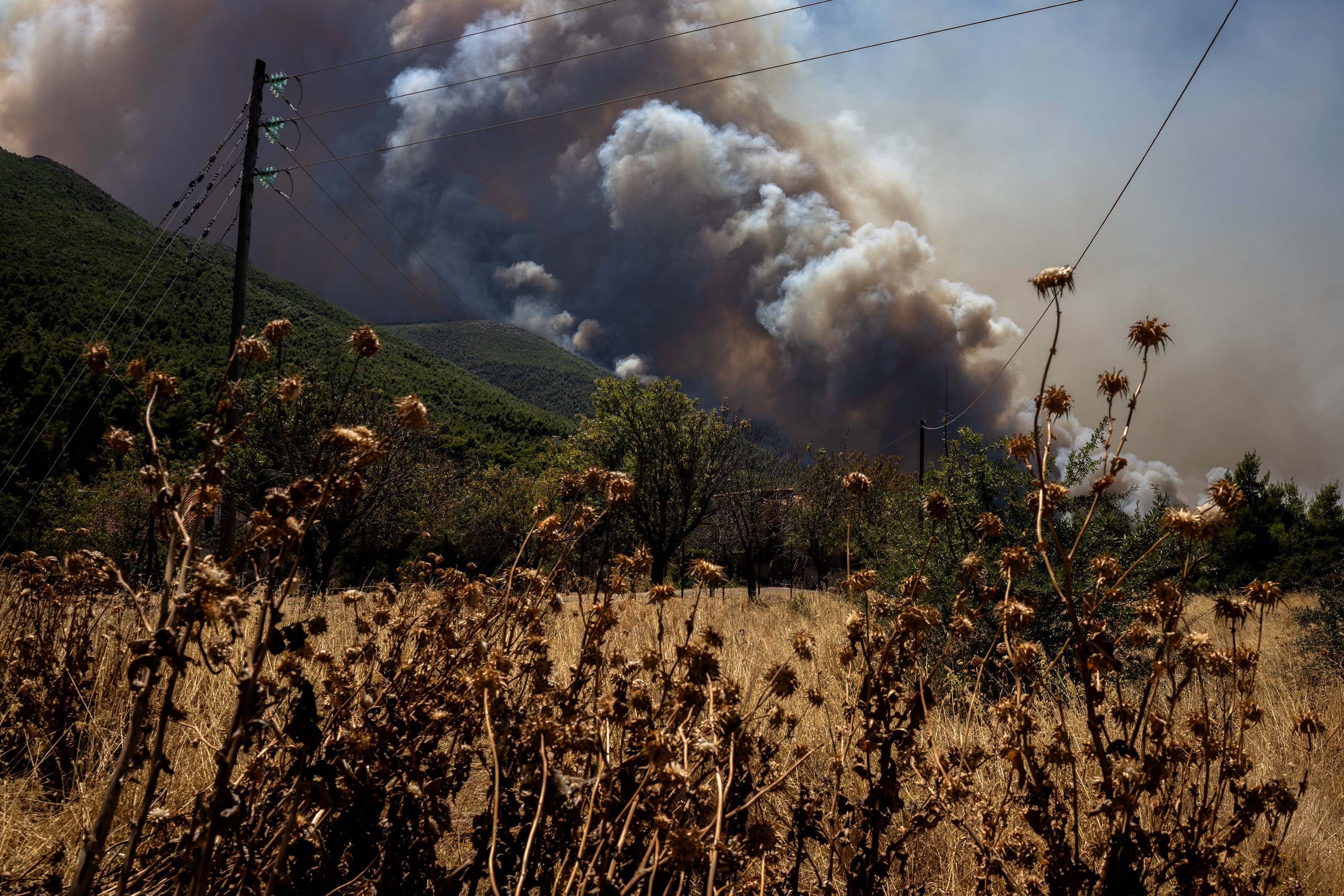 Heavy smoke rises from a wildfire in the area of Porto Germeno