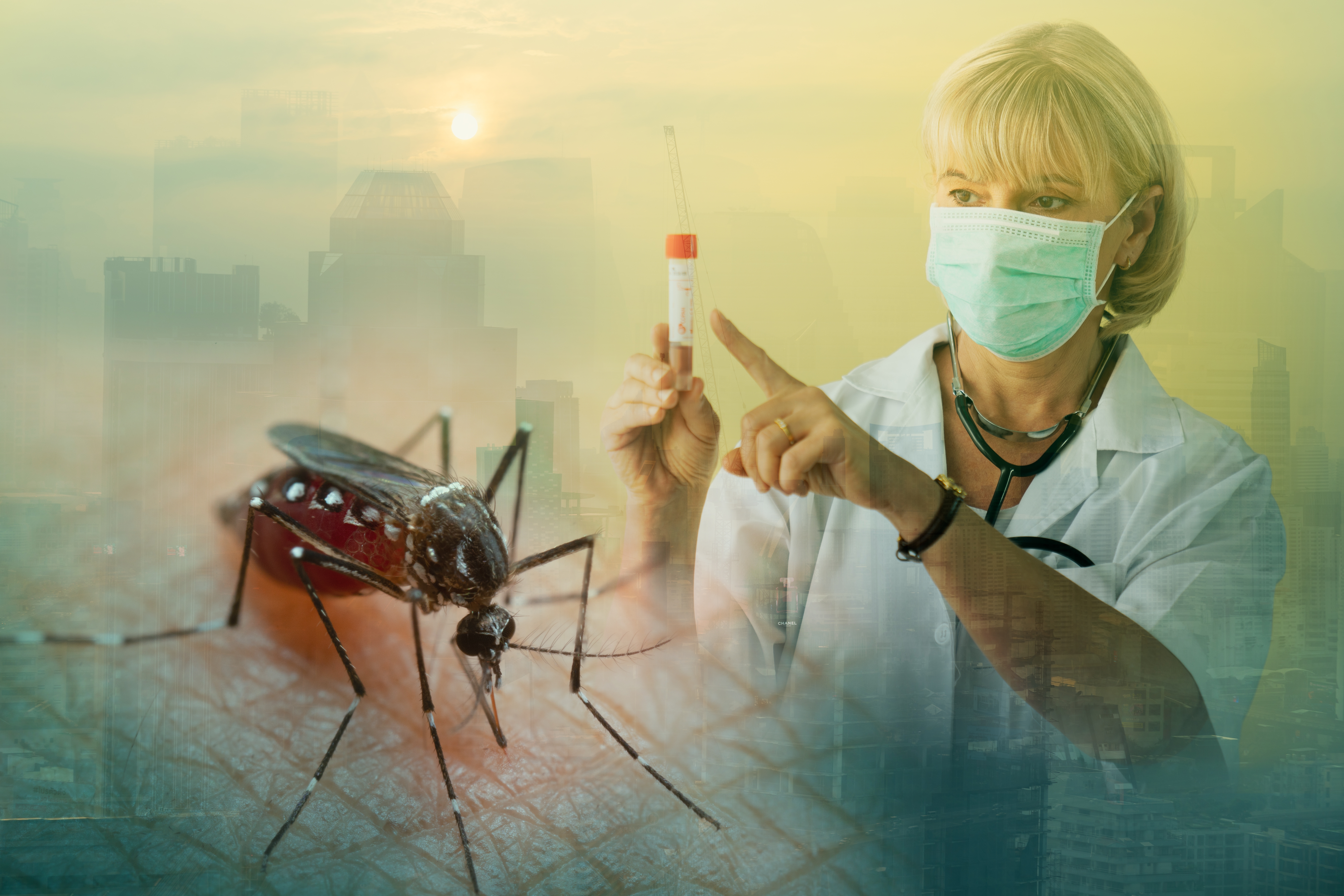 komarac virus Zapadnog Nila shutterstock_2600468623.jpg
