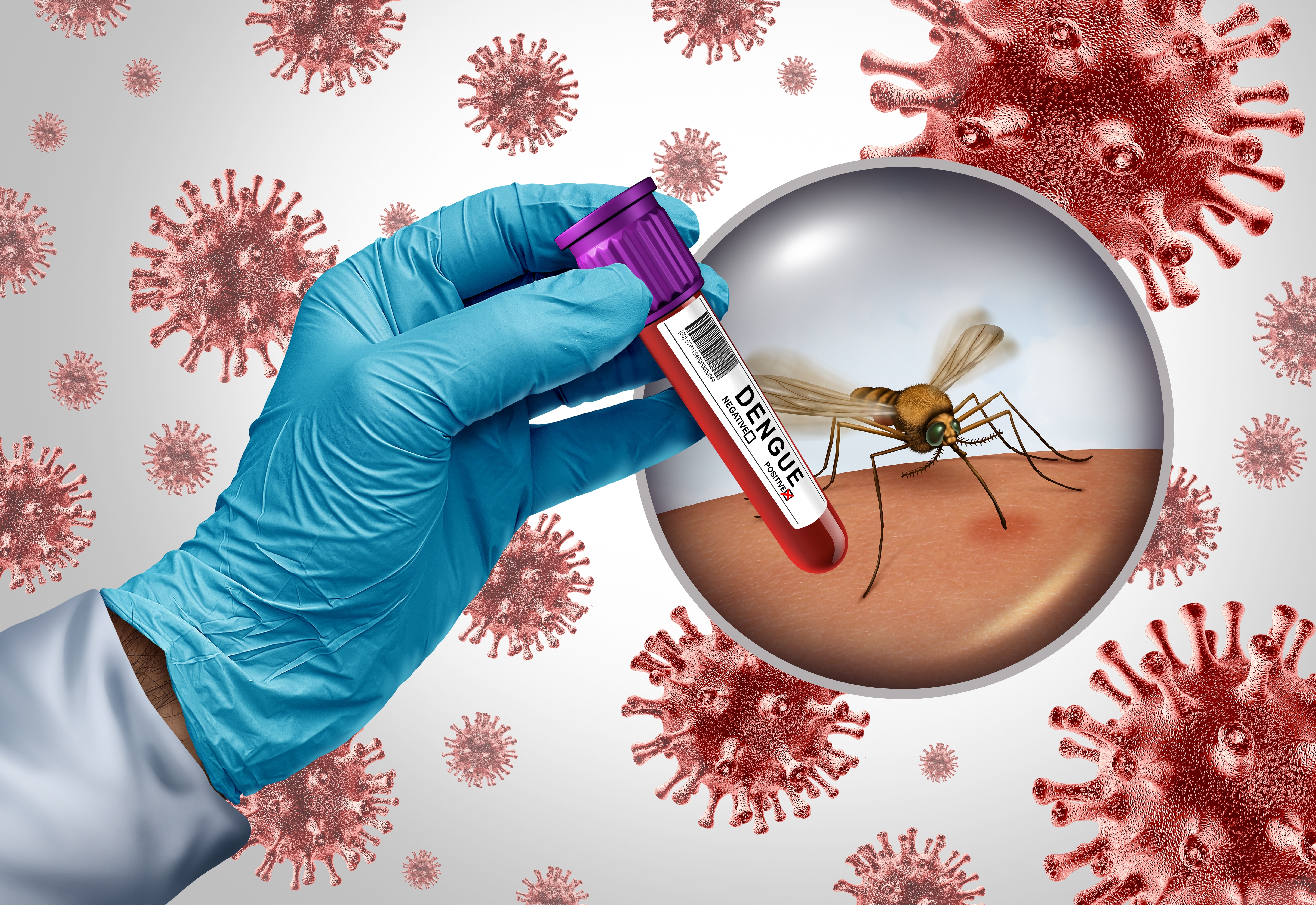 komarac virus Zapadnog Nila shutterstock_2482208337.jpg