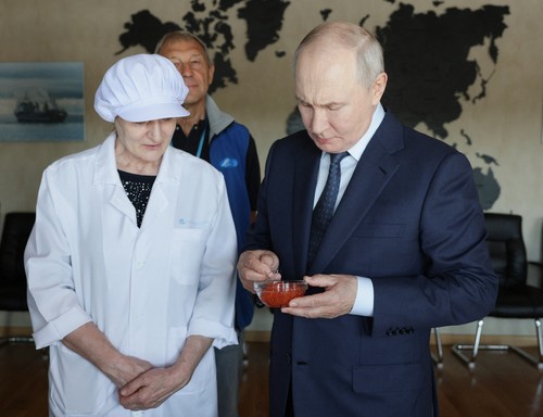 Vladimir Putin na Kurilskim ostrvima profimedia-1122650452