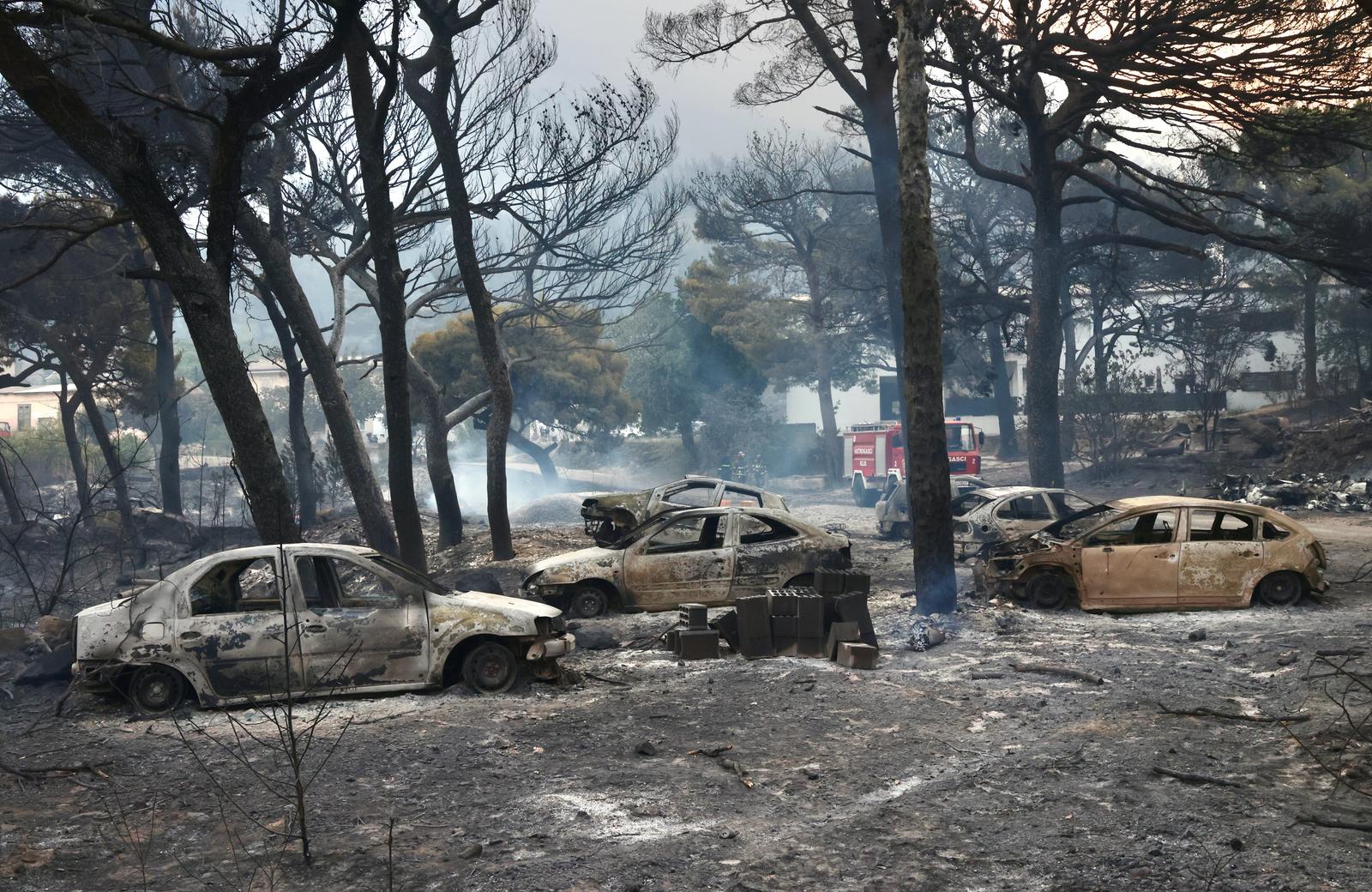 Dolaskom jutra postali su vidljivi razmjeri štete nakon nezapamćenog požara koji je jučer i noćas zahvatio područje Omiša. Photo: Ivo Cagalj/PIXSELL